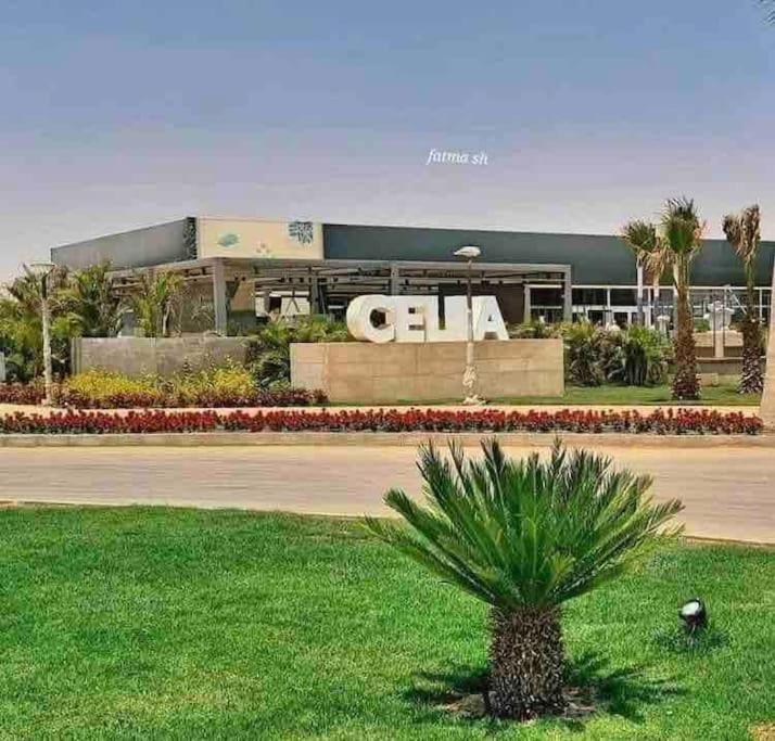 Stylish 2-Bedroom Apartment in Celia Compound, New Administrative Capital view 2