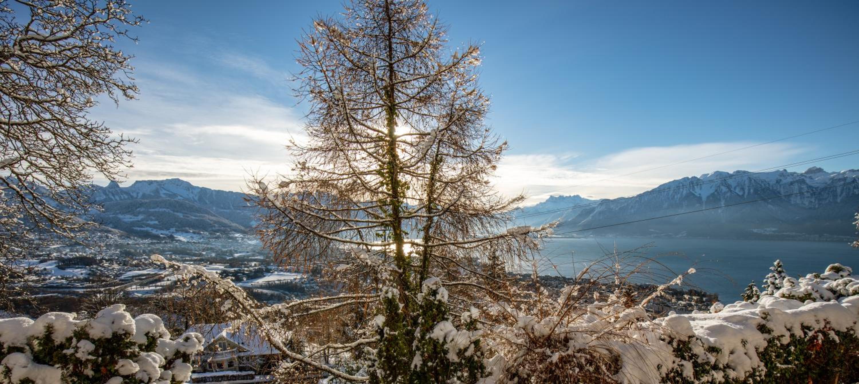 Le toit de Chardonne - Entre Alpes et lac Léman