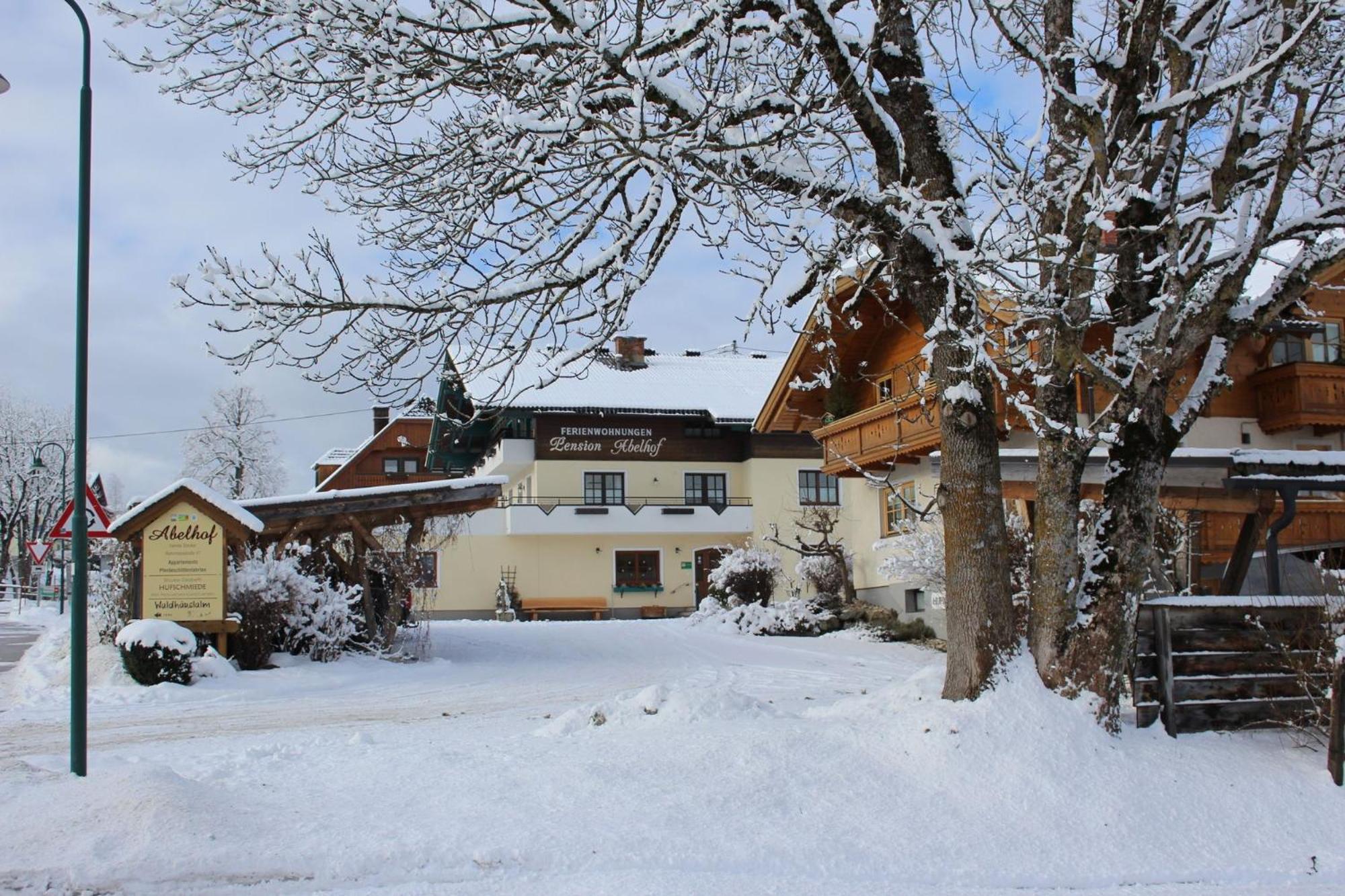 Abelhof
