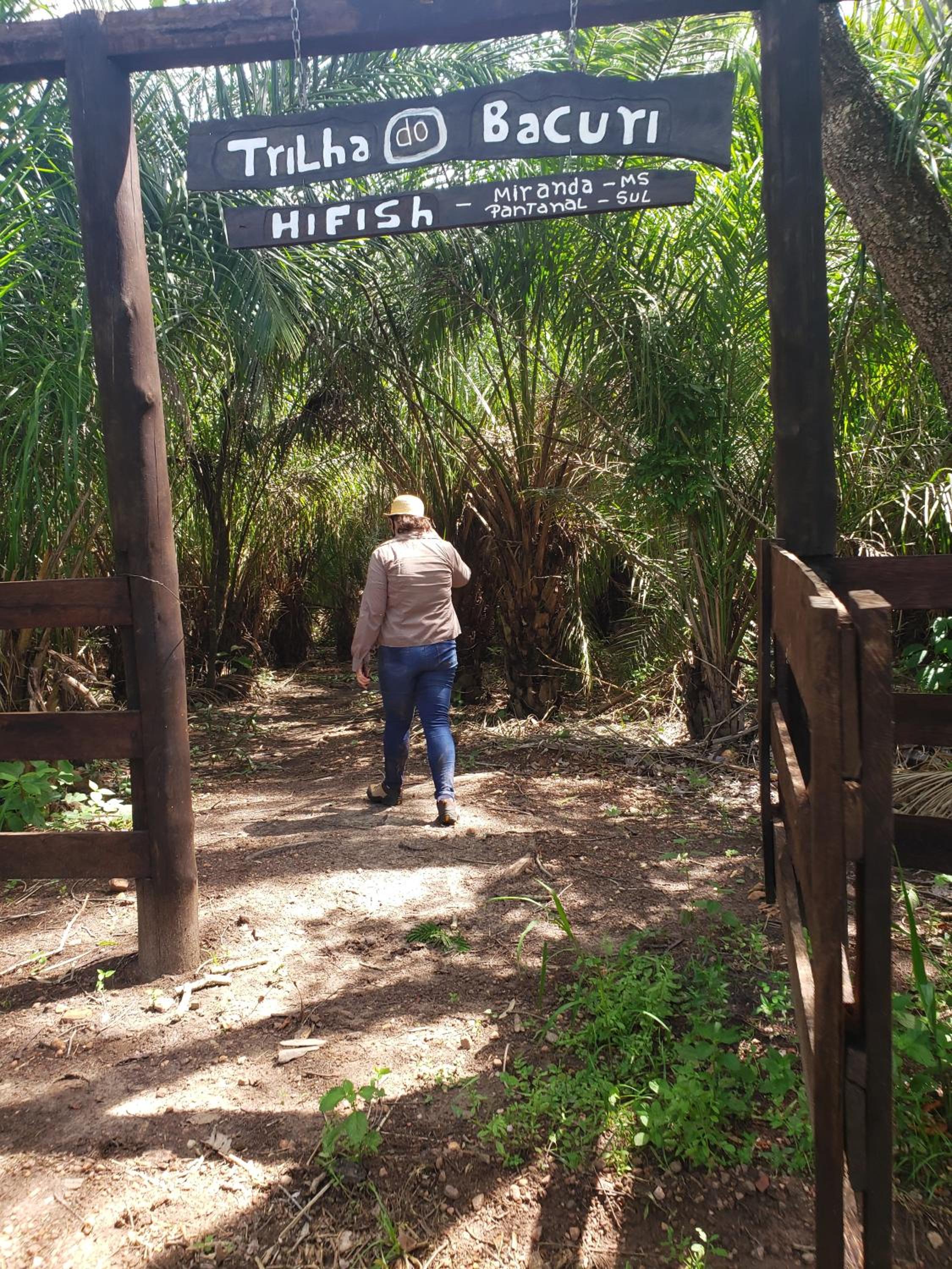 Pousada Pantanal Experiência