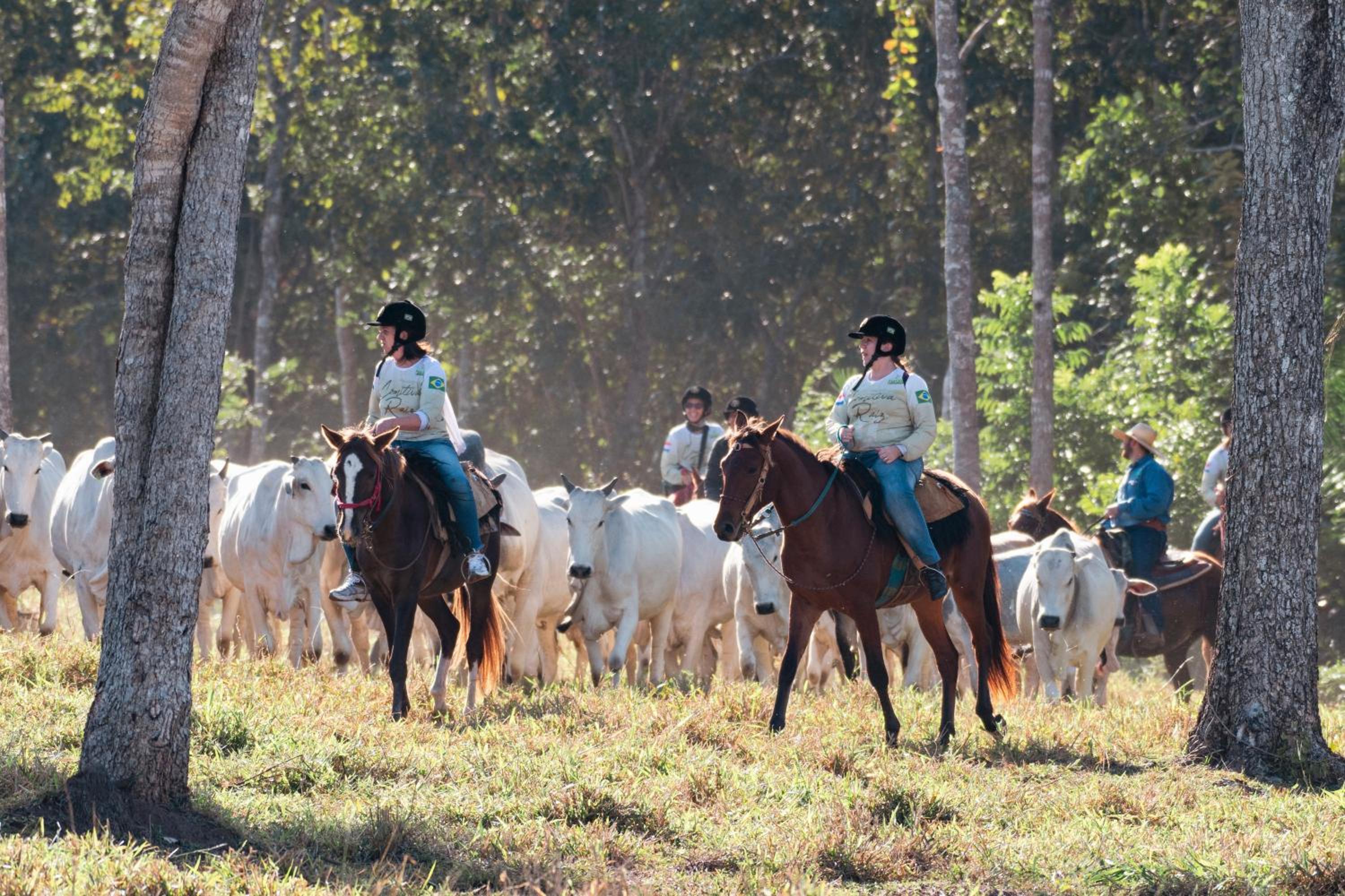 Pousada Pantanal Experiência