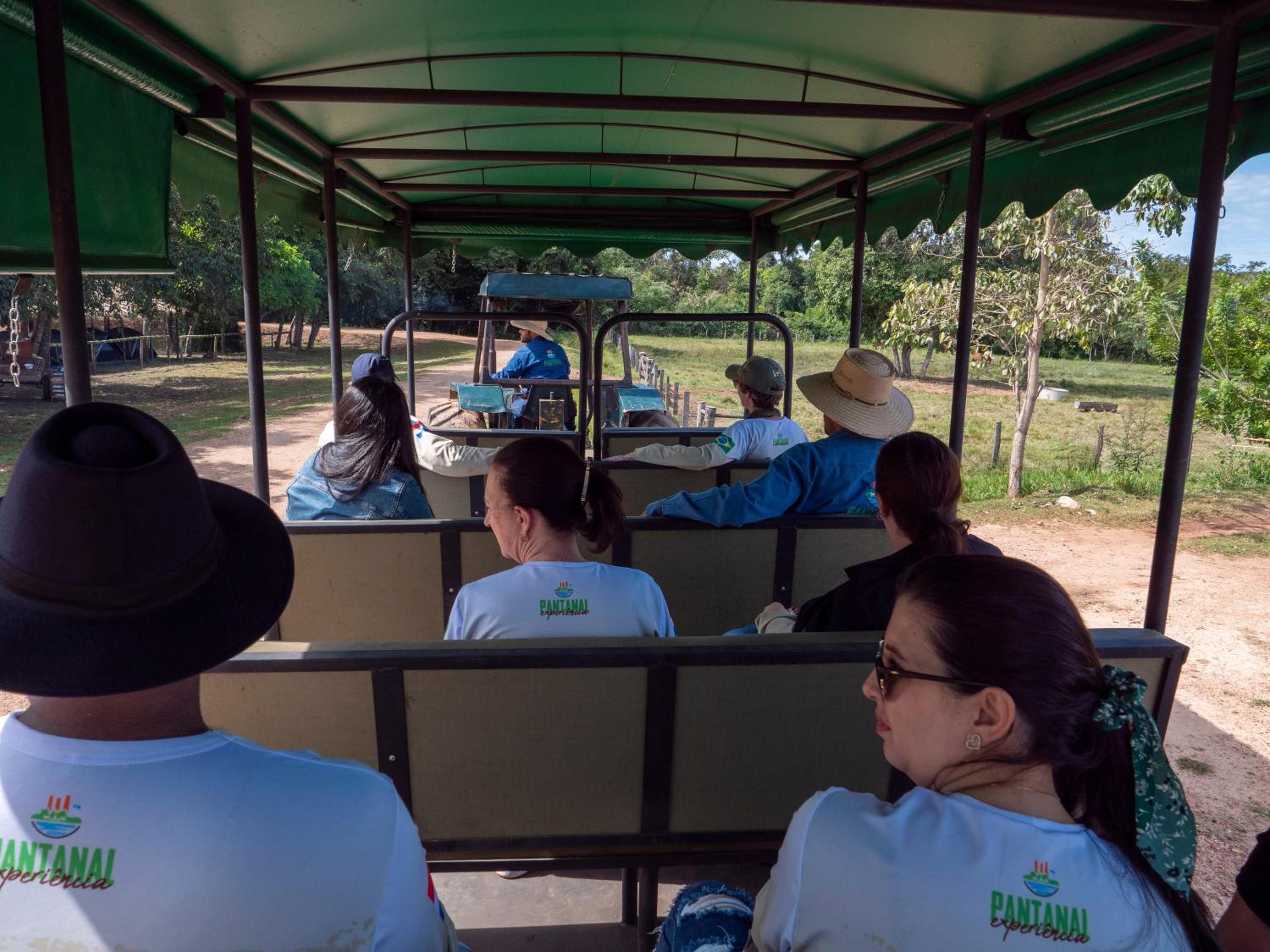 Pousada Pantanal Experiência