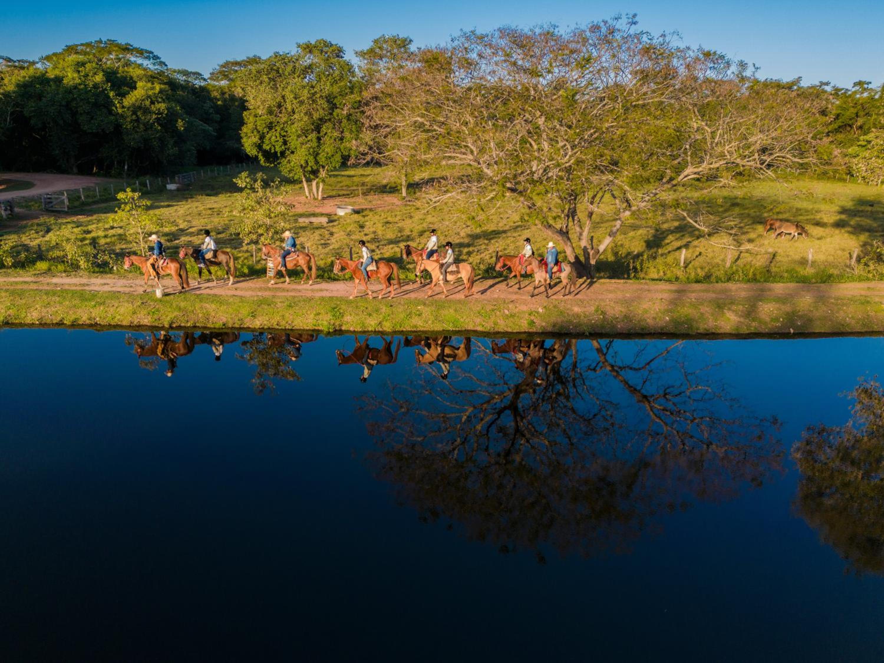 Pousada Pantanal Experiência