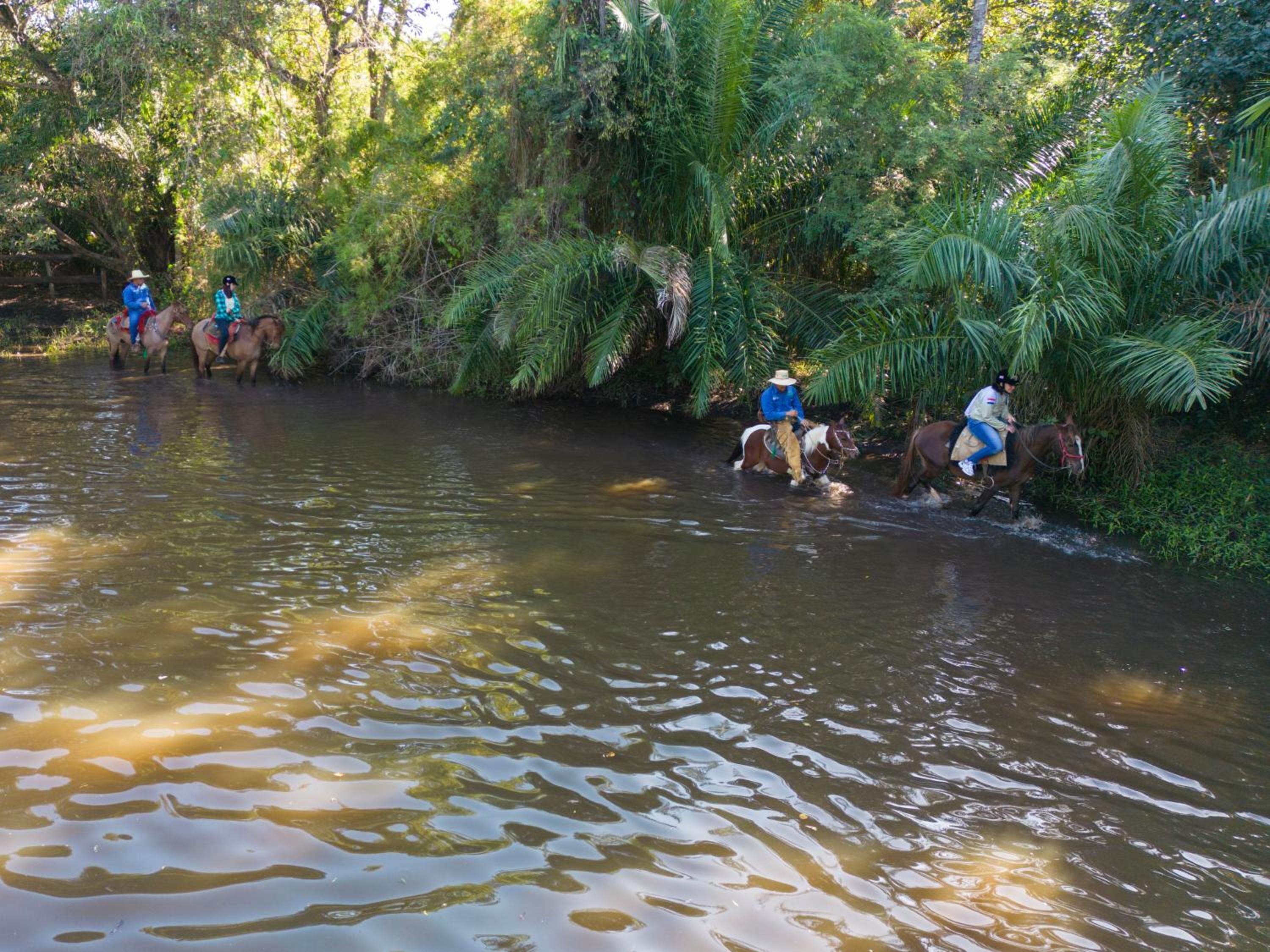 Pousada Pantanal Experiência