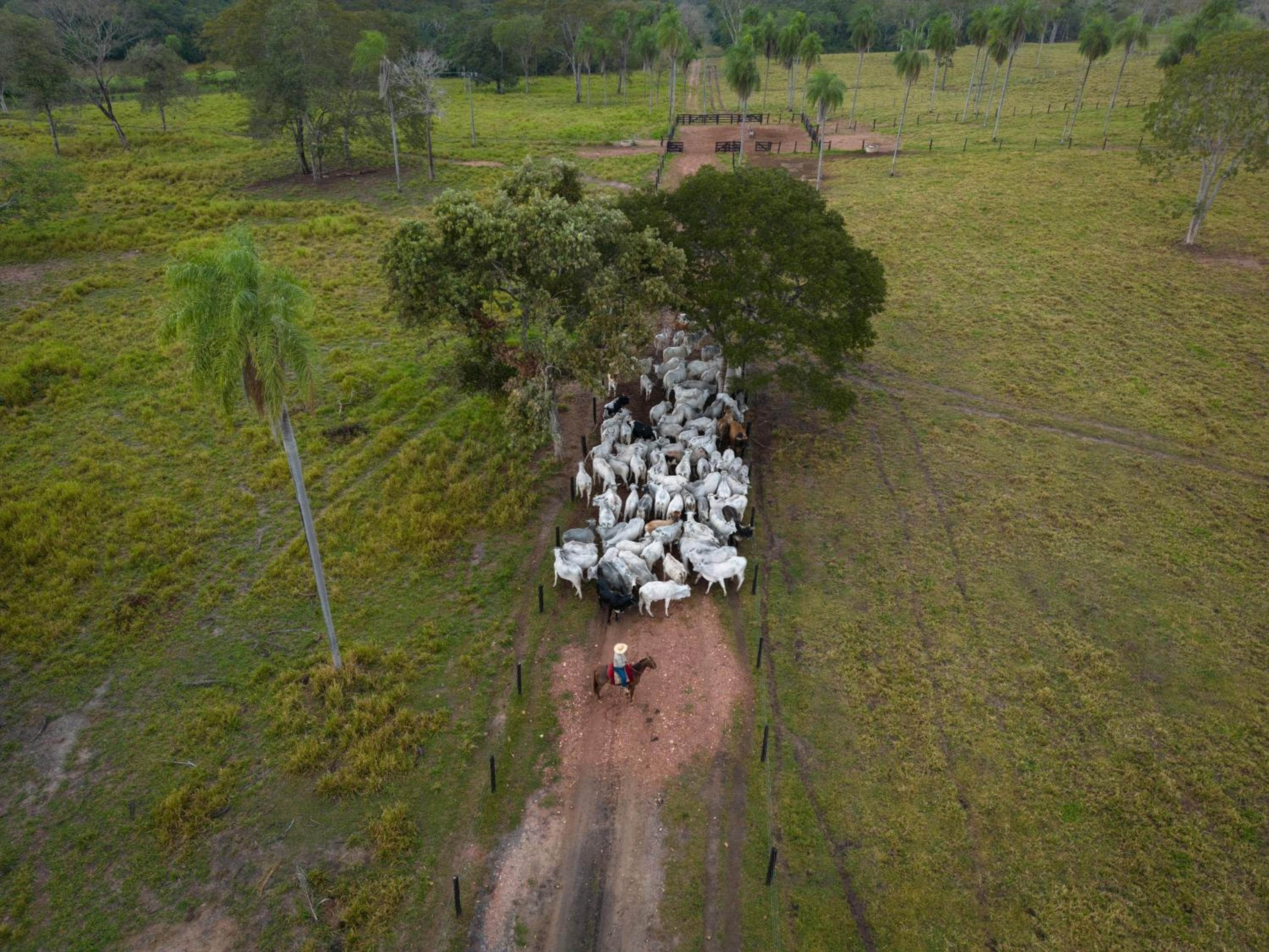 Pousada Pantanal Experiência