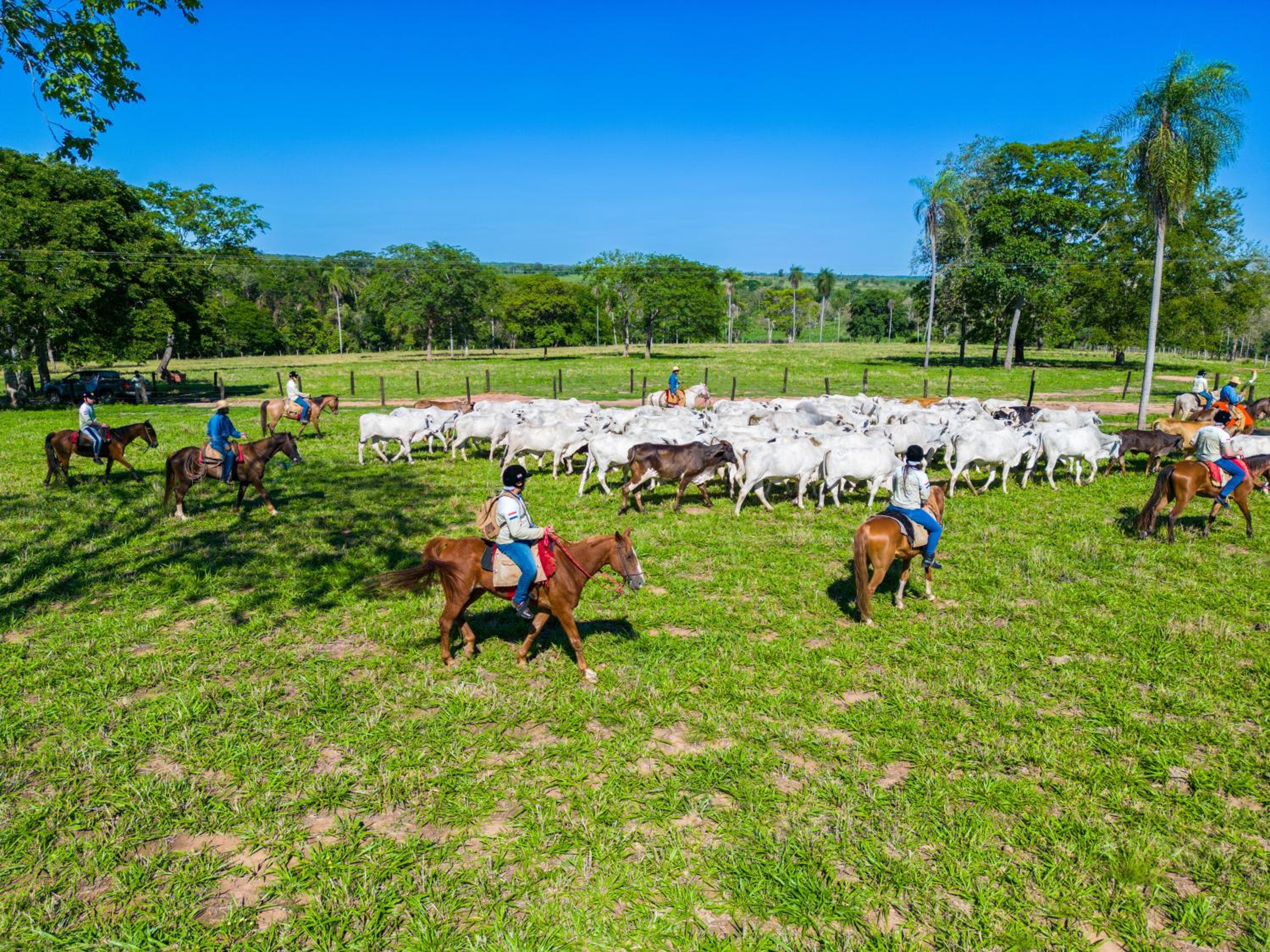 Pousada Pantanal Experiência