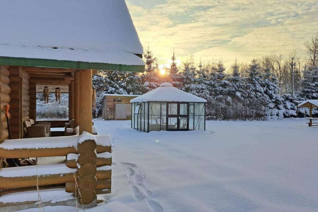 Hazel Hut - spacious fenced yard, sauna, 2-bedroom view 4