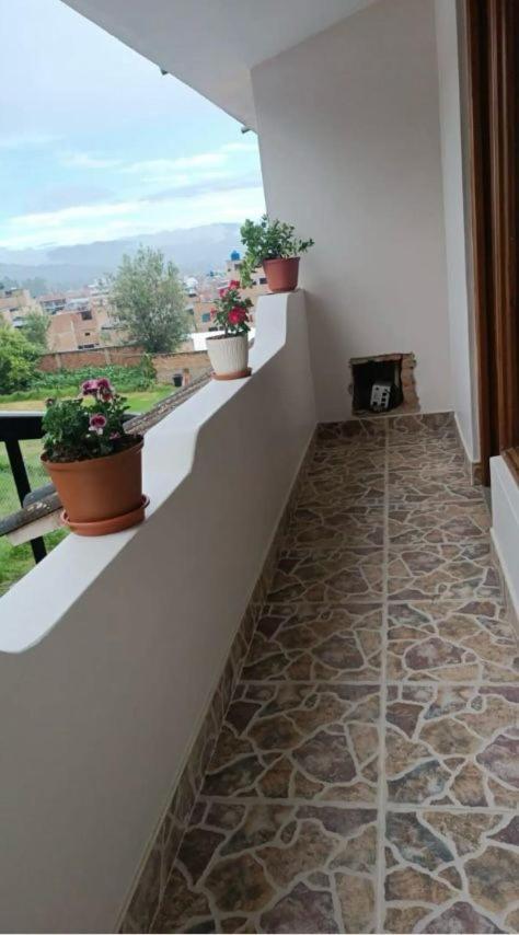 La Casa de Camu view 5