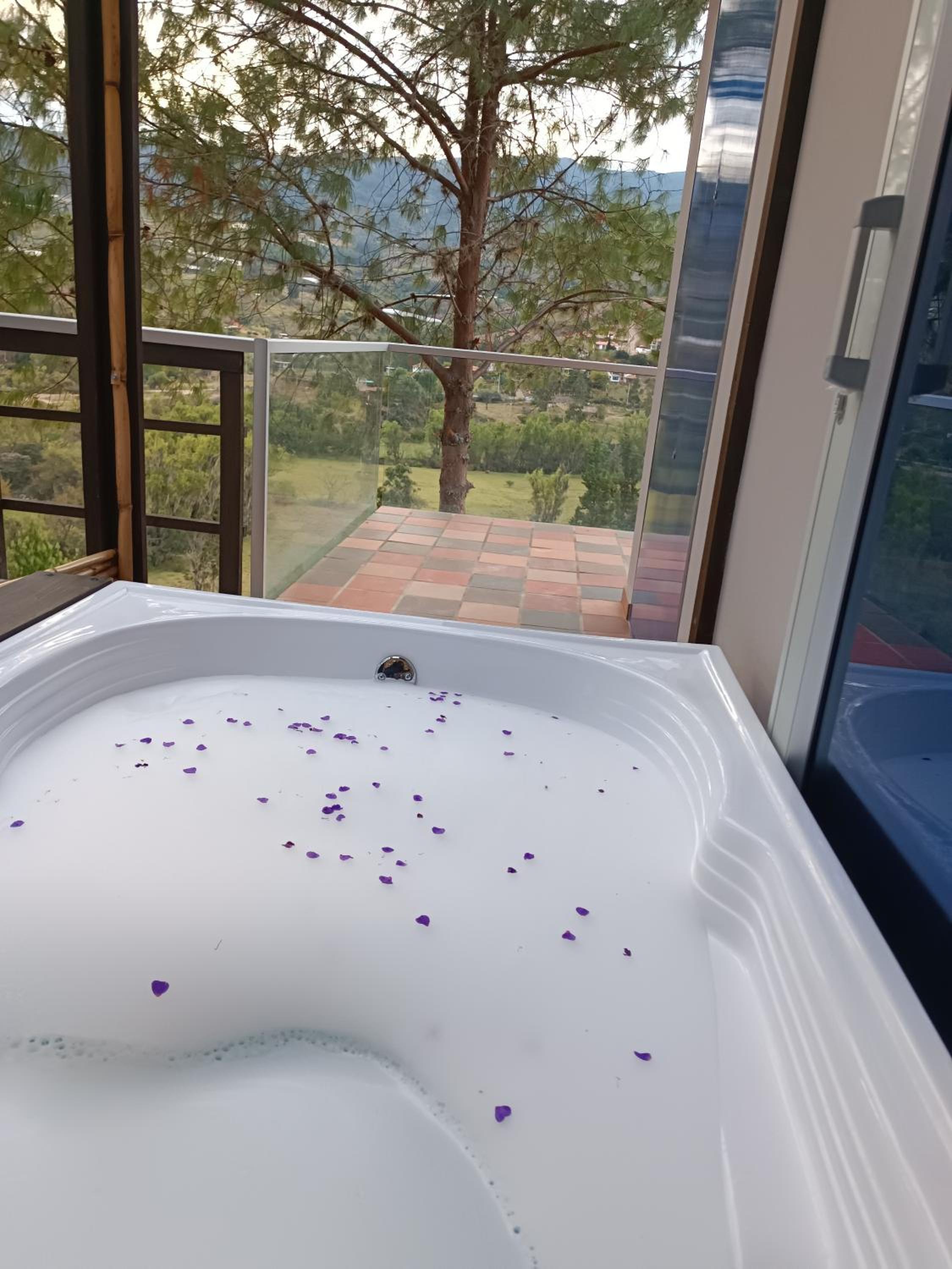 Amonitas Glamping Deluxe