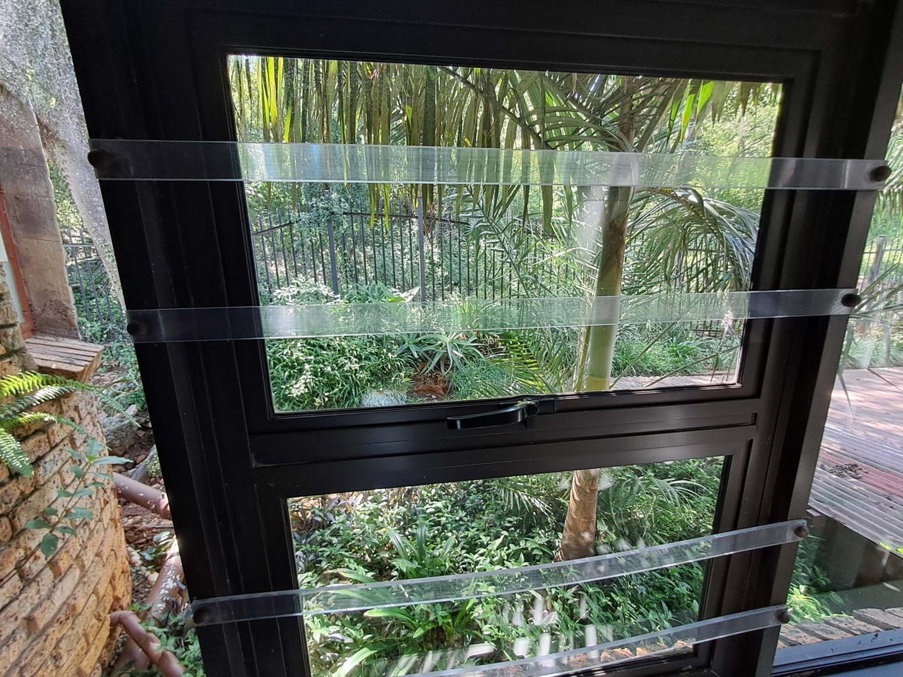 Belle Vue Guesthouse view 5