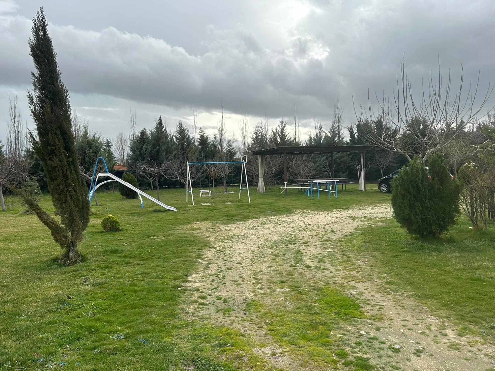 Photo 17
