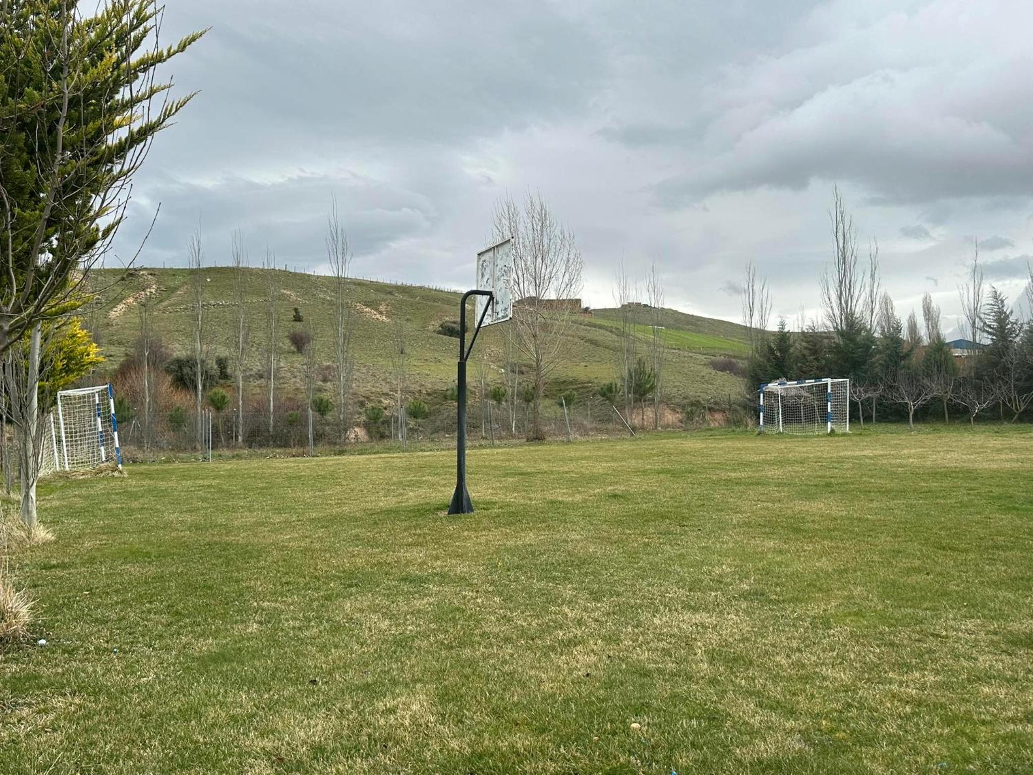 Photo 19