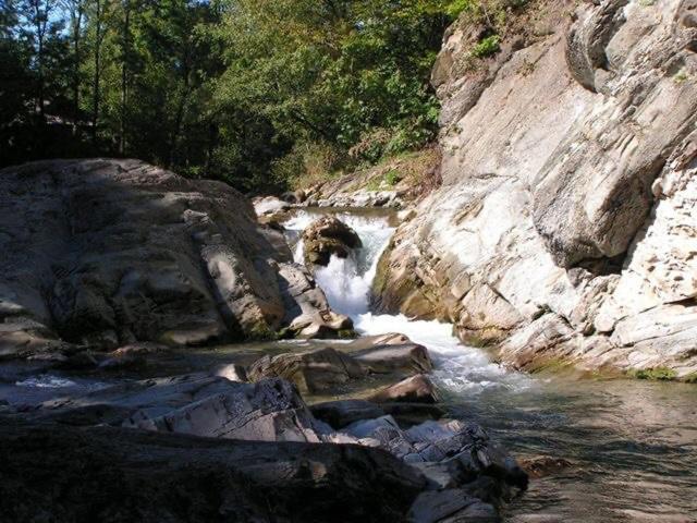 Photo 38