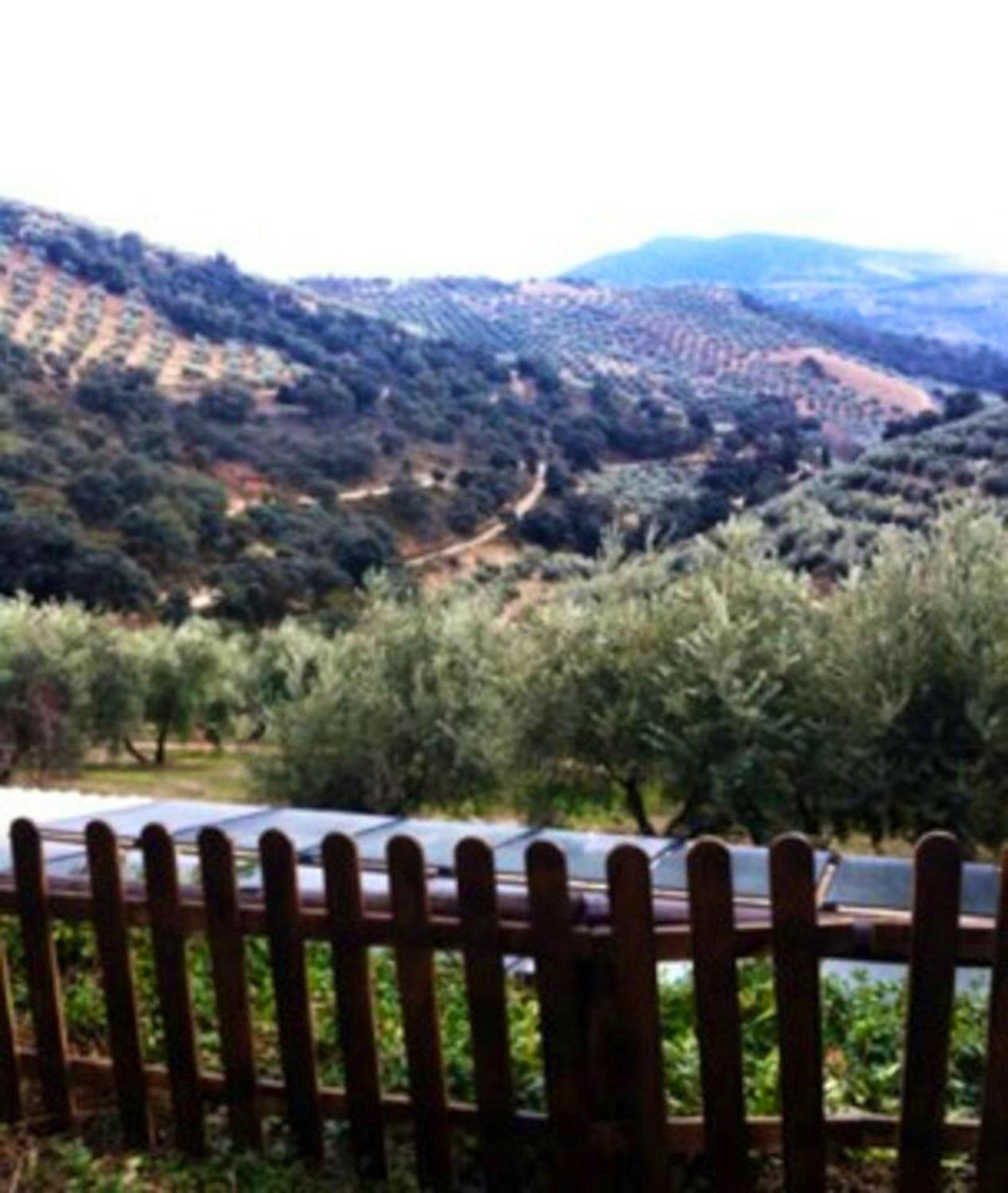 Elegant house near Granada with shared pool
