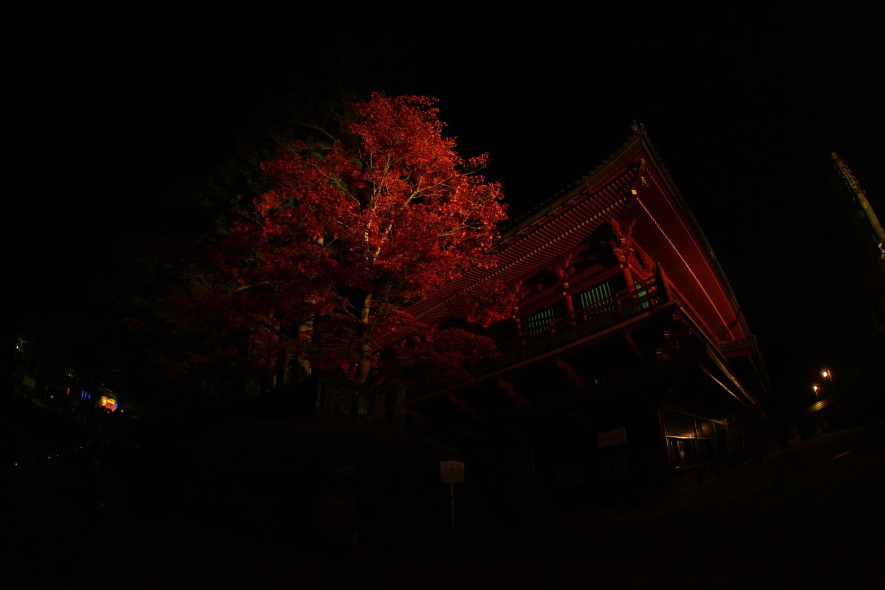 Nikko Pension L'escale