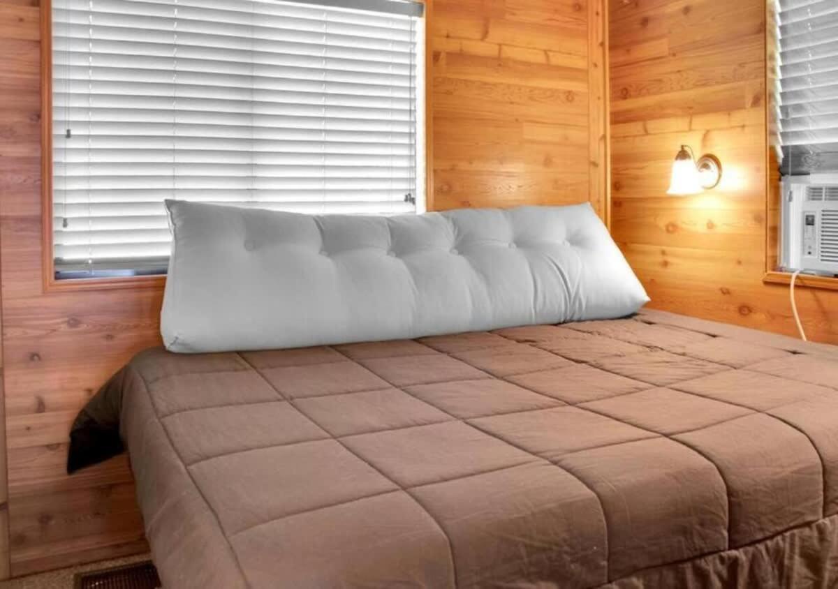 Cozy 1BR Cabin in Jacksonville view 3
