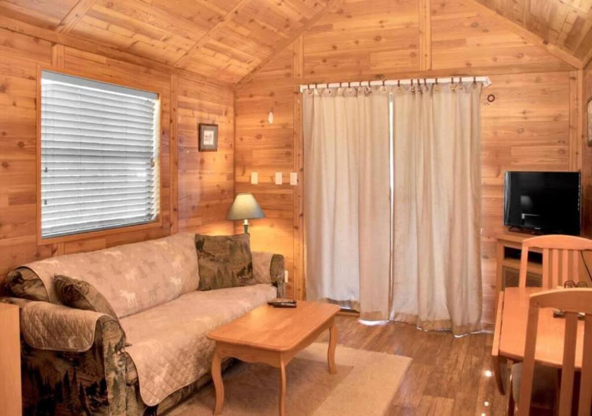 Cozy 1BR Cabin in Jacksonville view 4