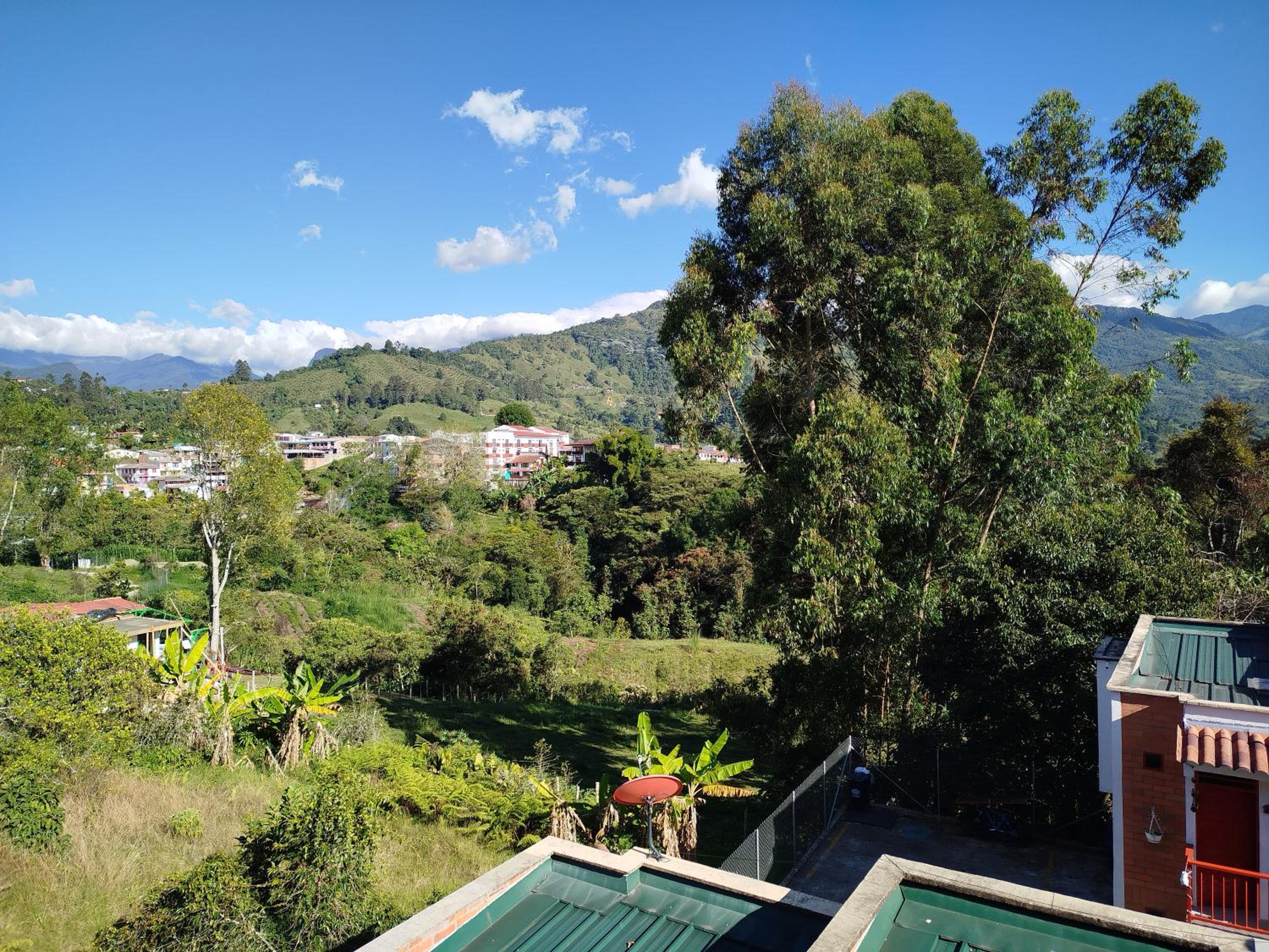 Orquidia 12