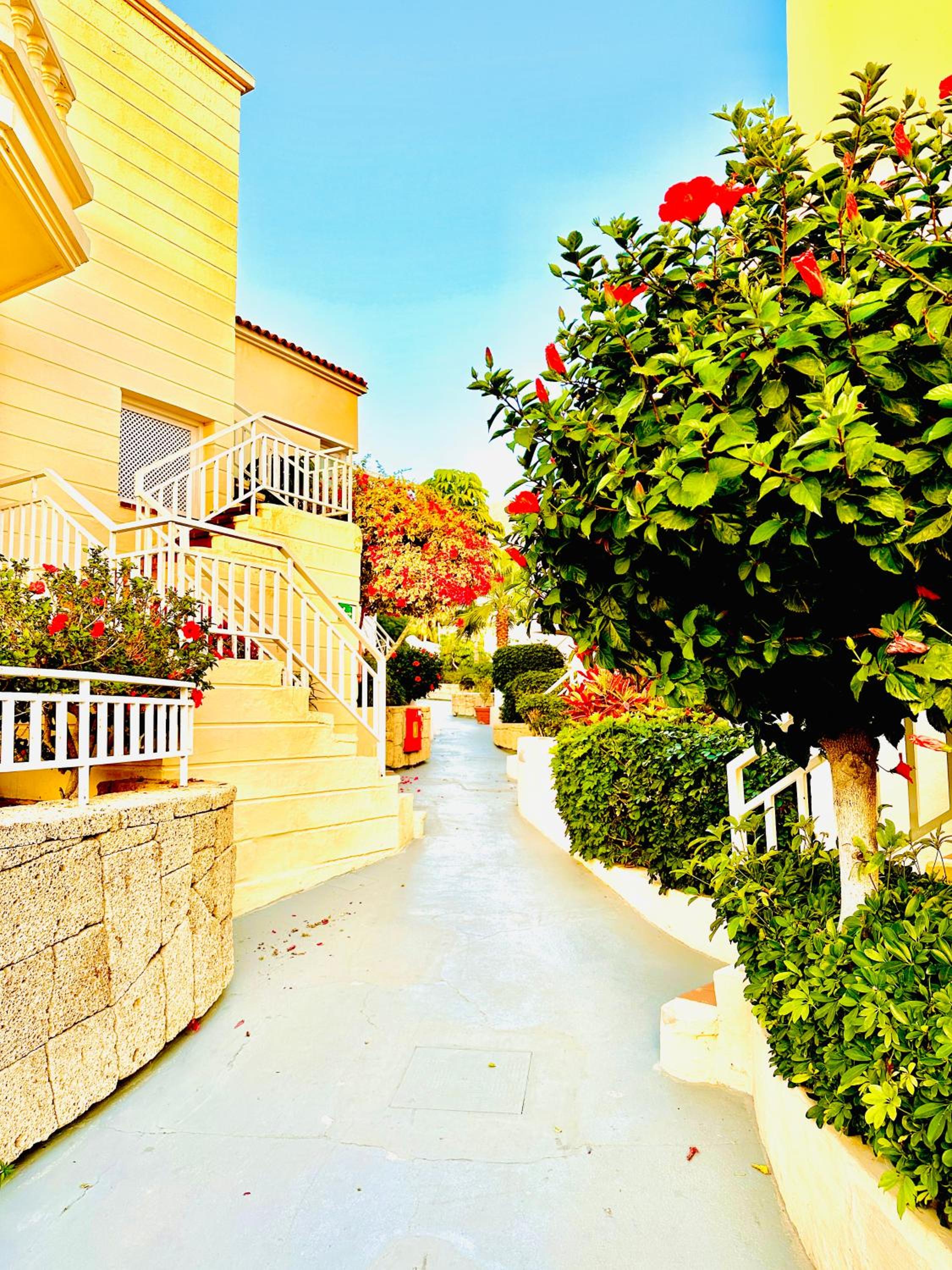 Luxury villa Fanabe with private garden