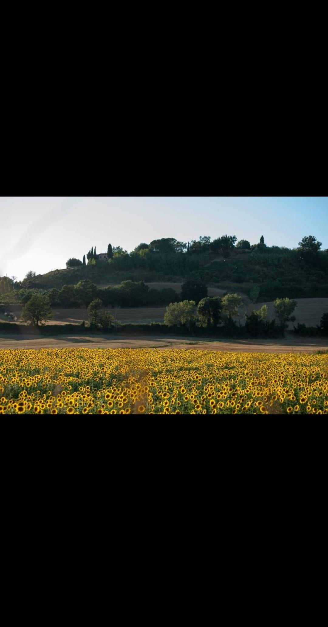 podere il poggetto view 2