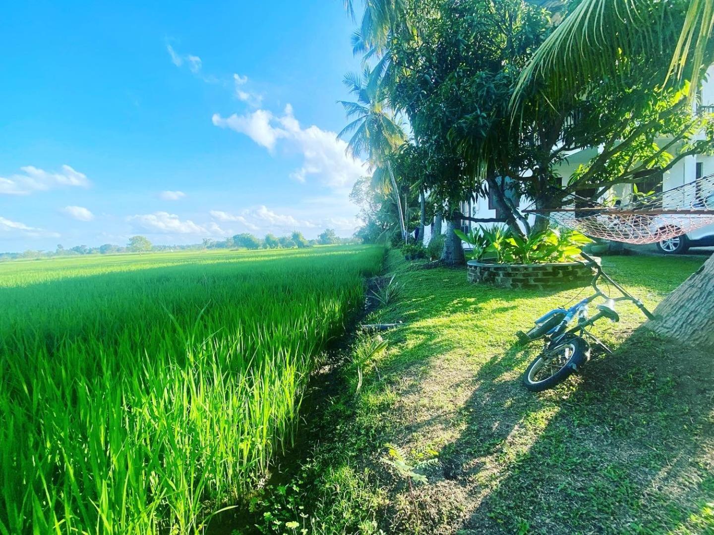 Aroma Villa Homestay