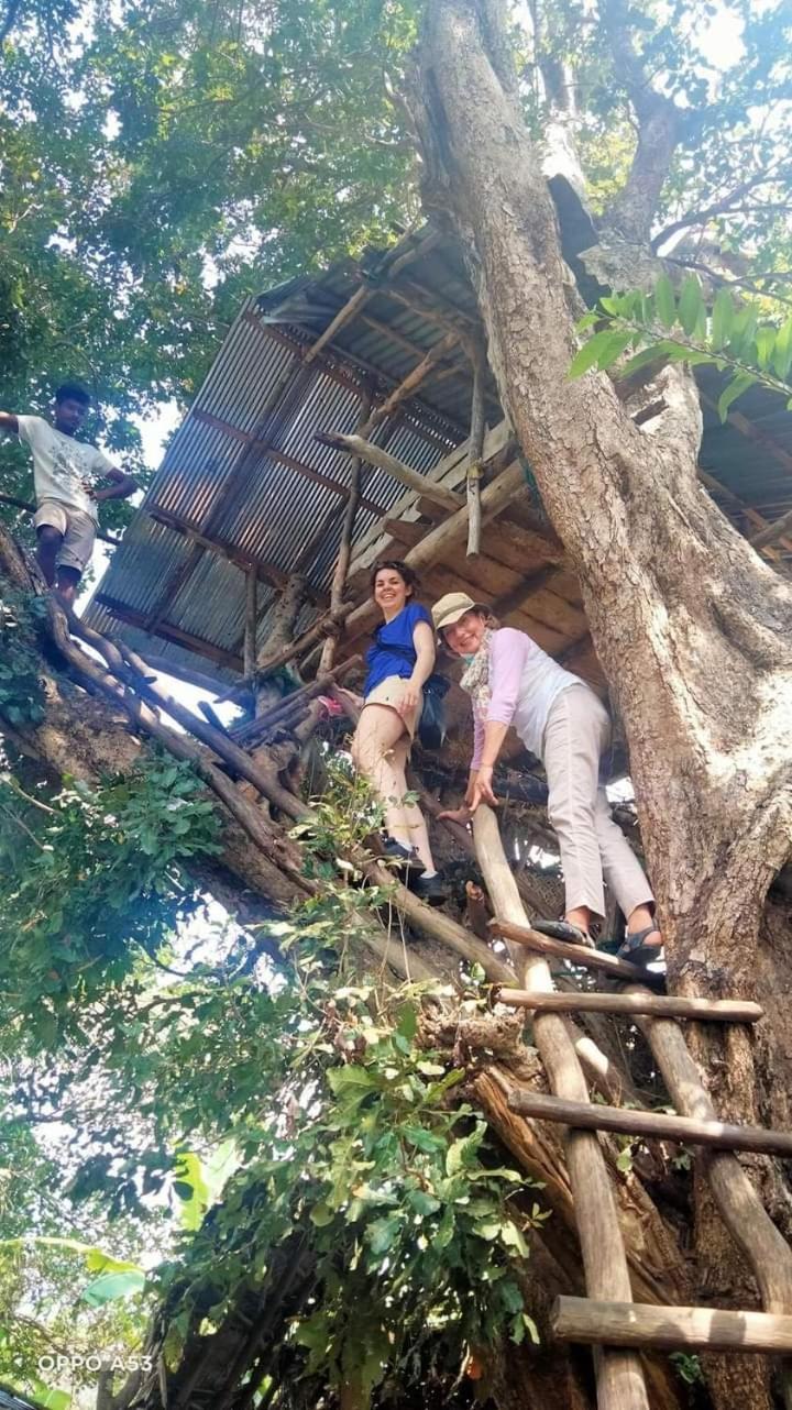 Habarana City Hostel