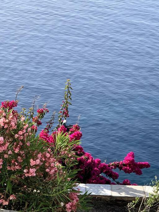 Villa Paloma, Tinos Island