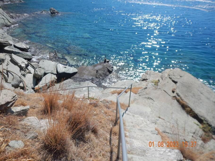 Villa Paloma, Tinos Island