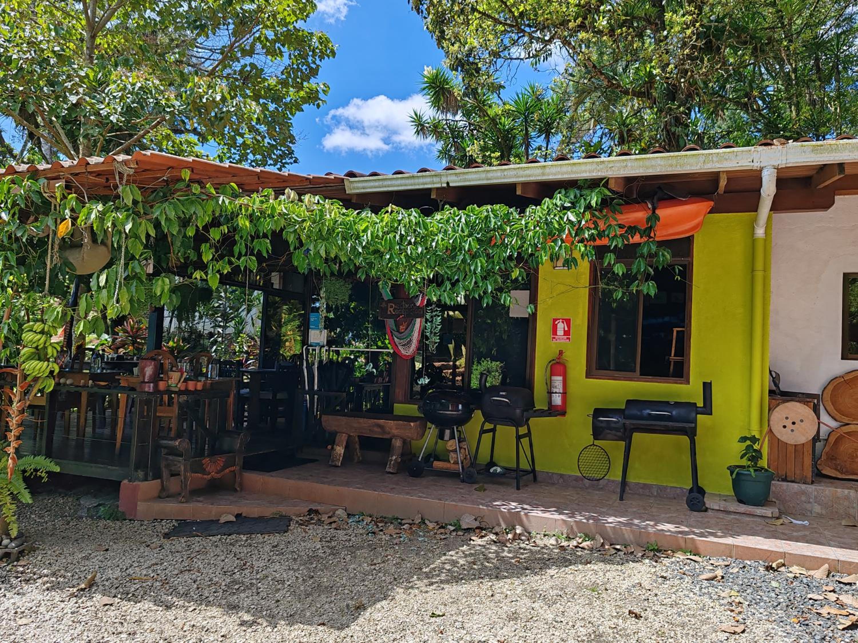 La Ceiba Tree Lodge view 4