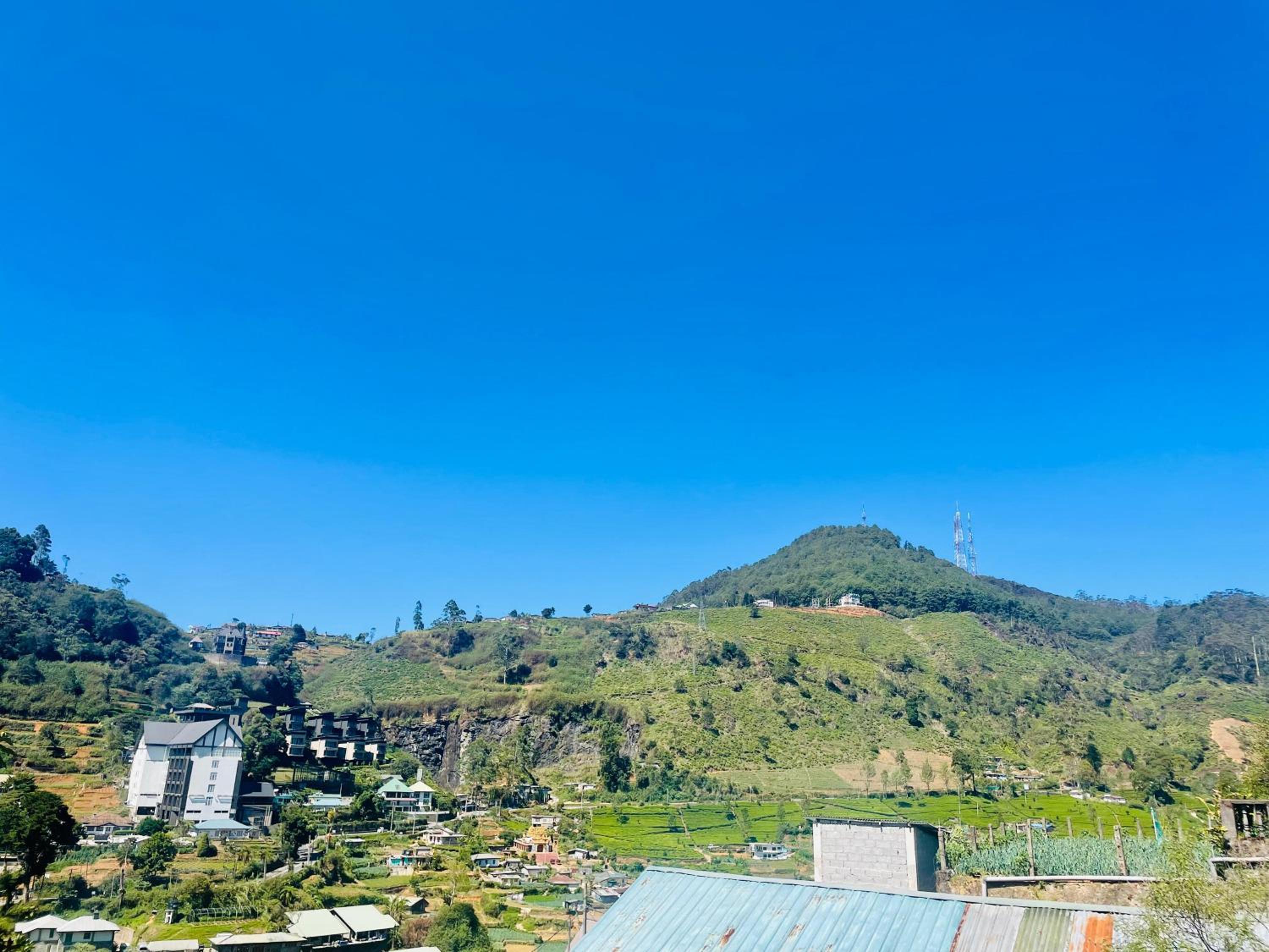 Hill Side Nest view 5