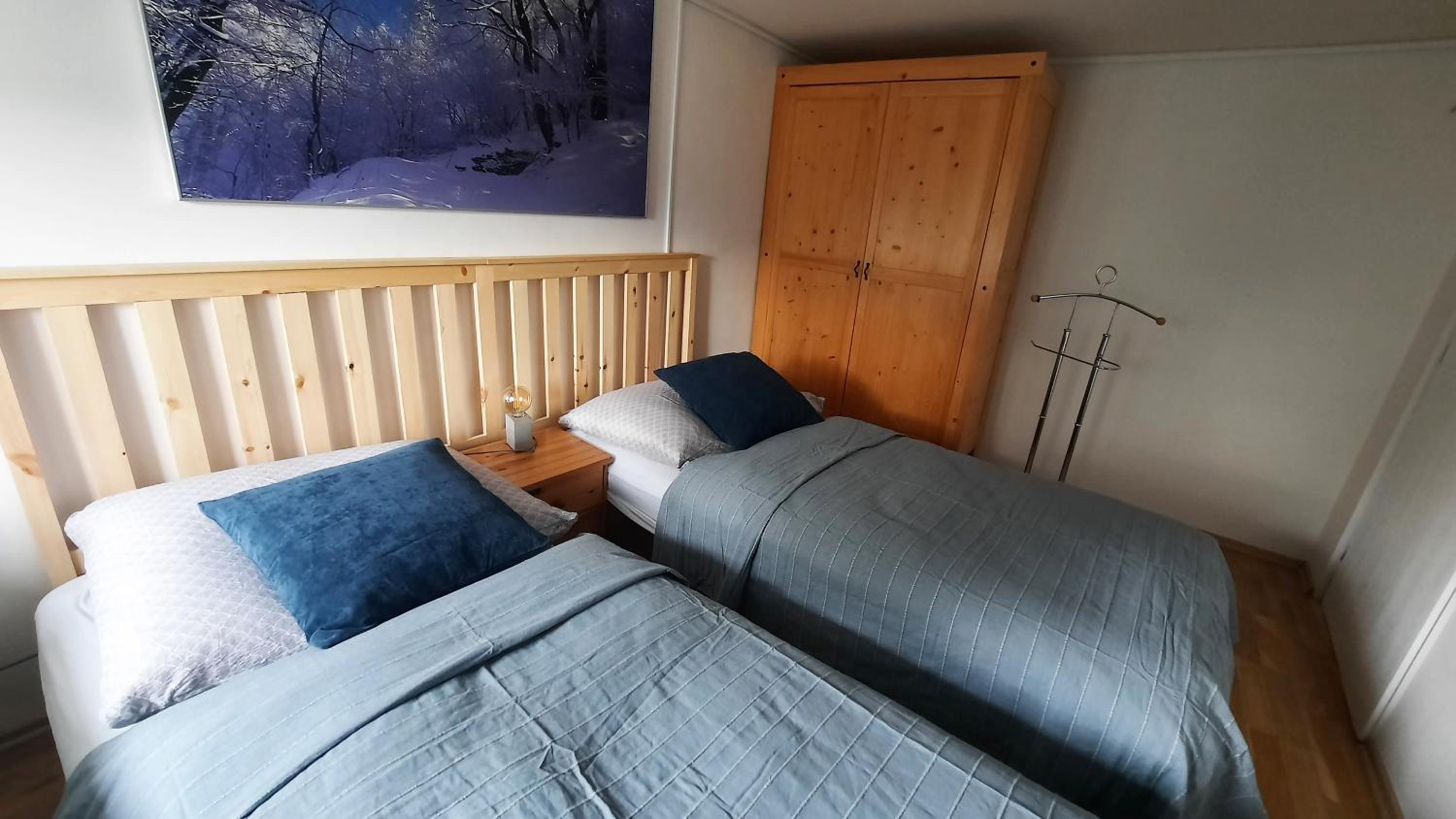 Apartmán Franz Josef