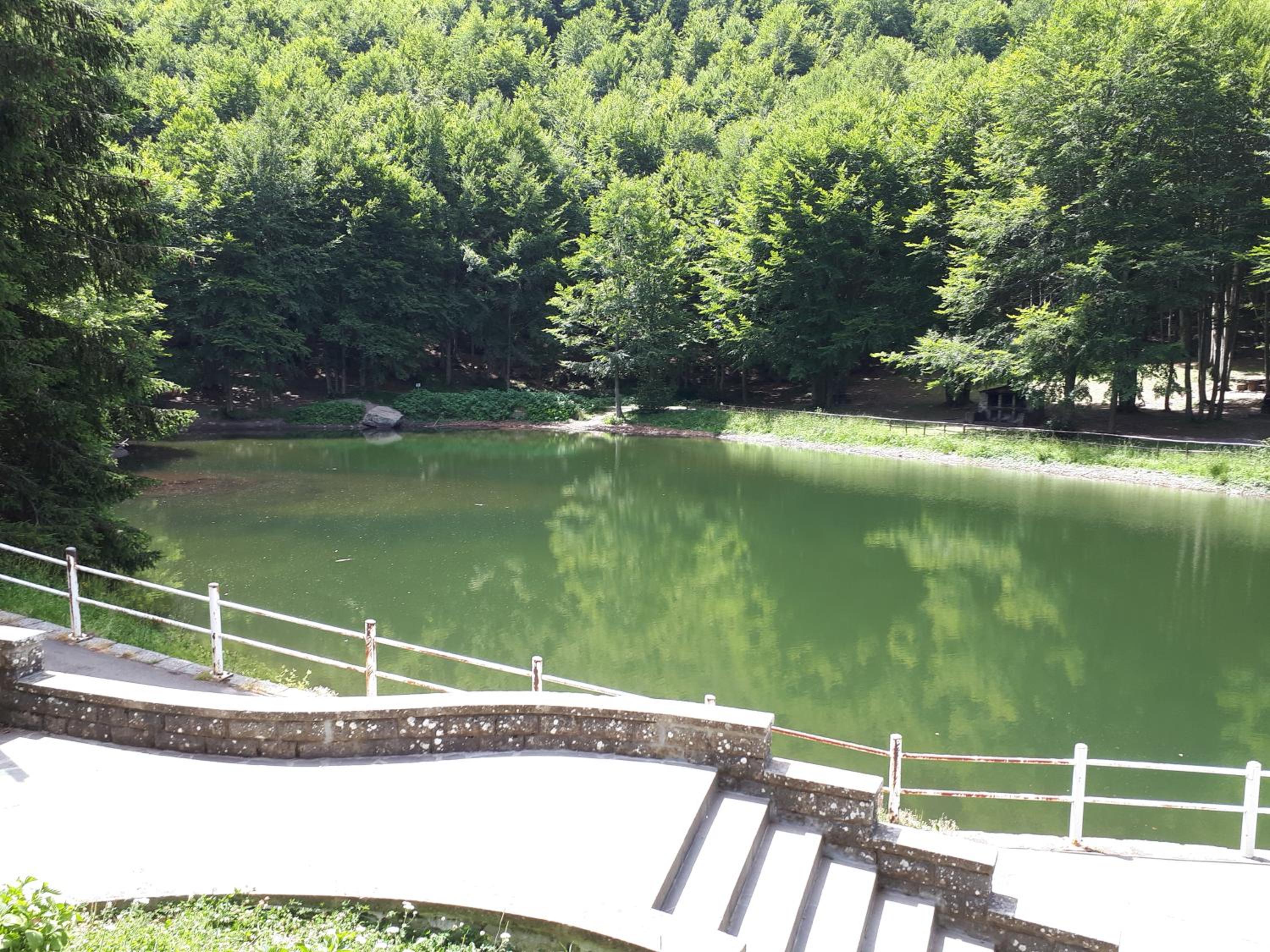 Photo 8