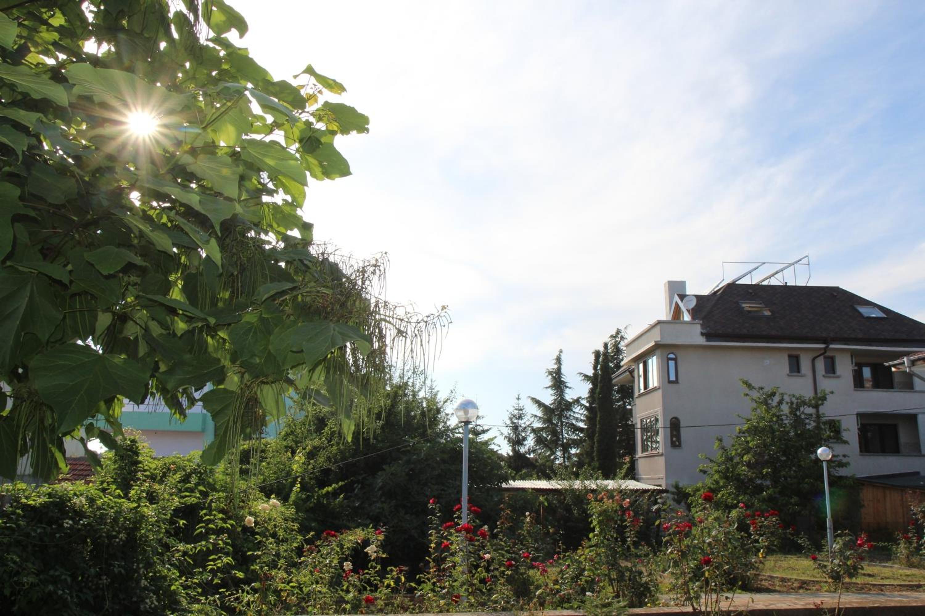 Villa Elmar view 4