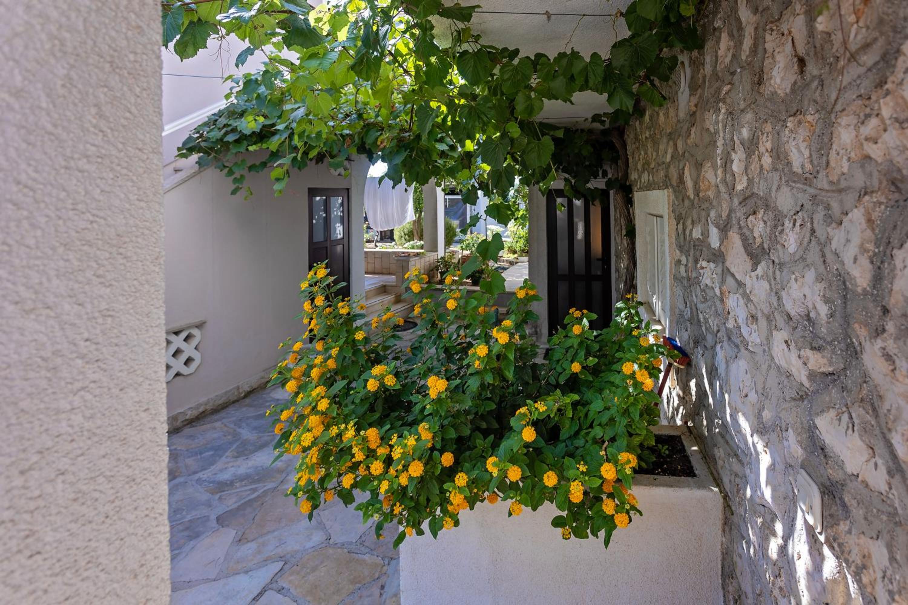 Apartment Neptun