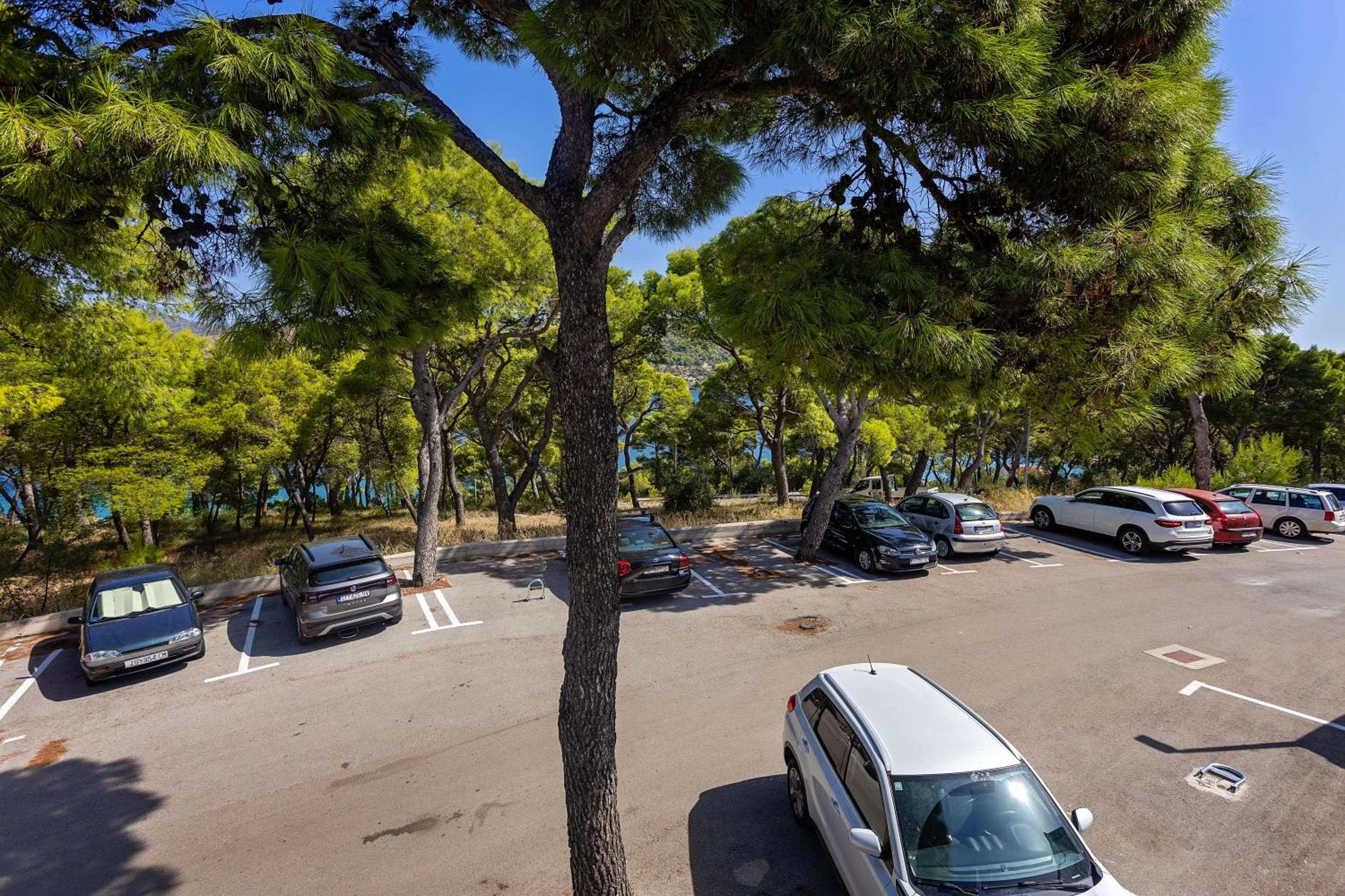 Apartment Neptun