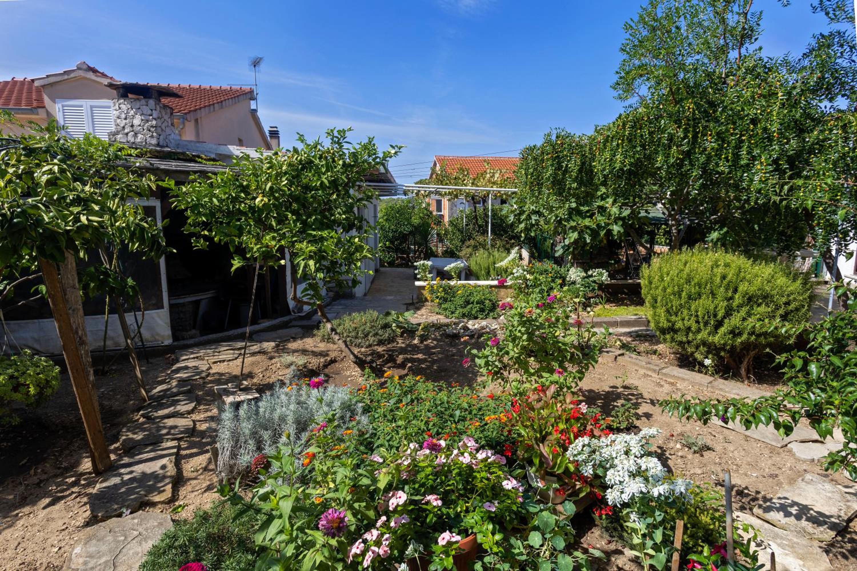 Apartment Neptun