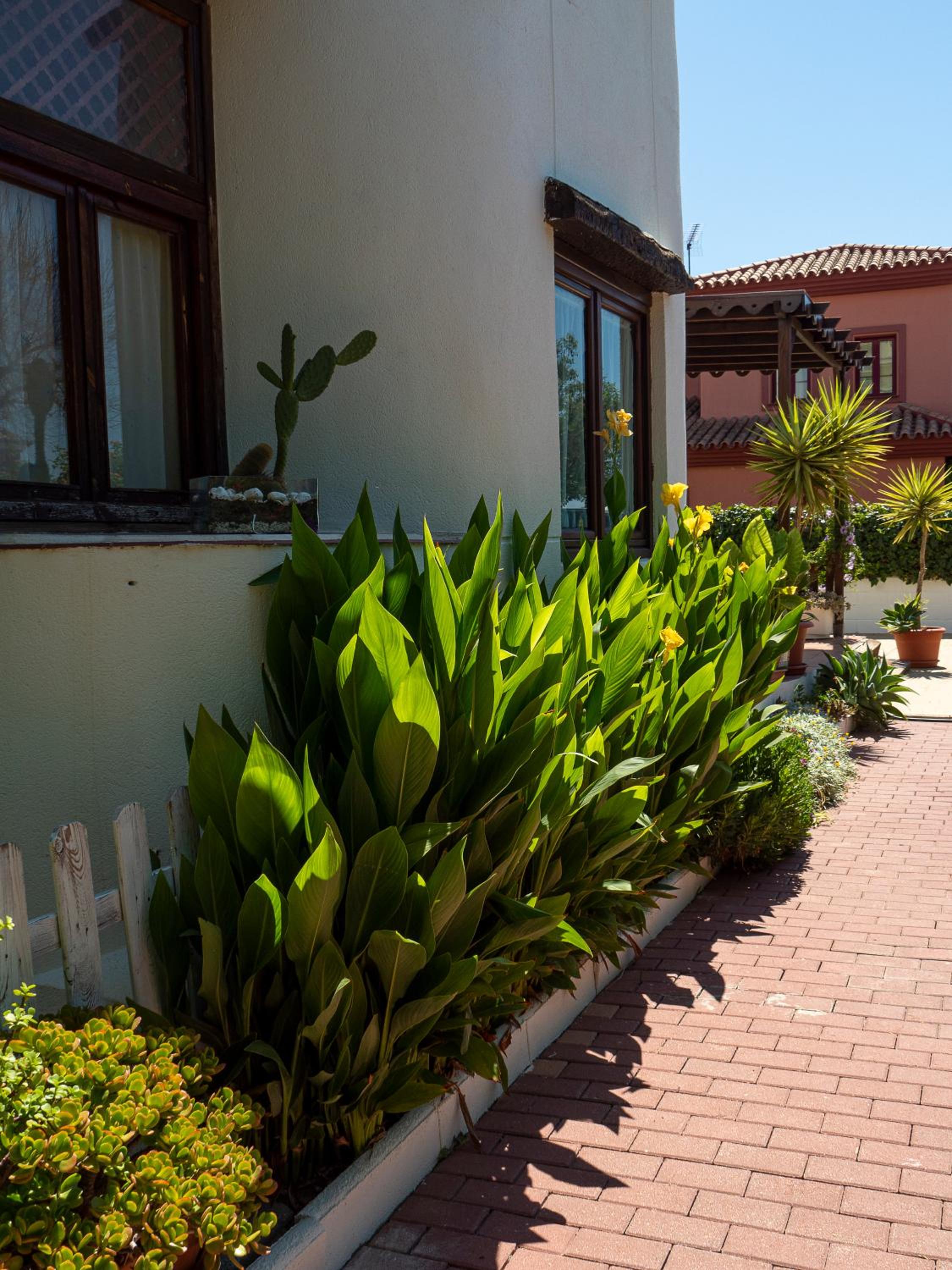 Villa Ibicenca Love