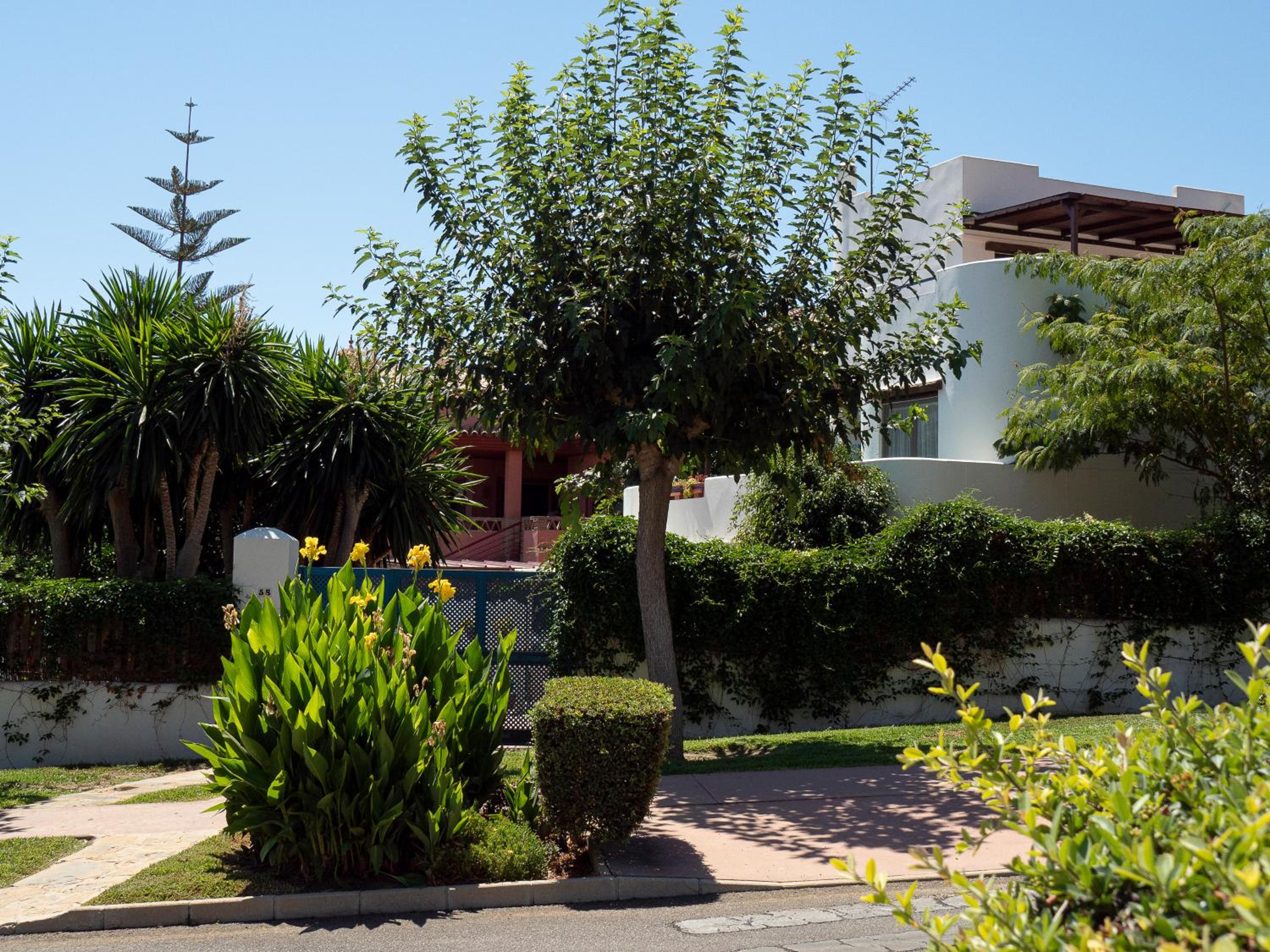 Villa Ibicenca Love