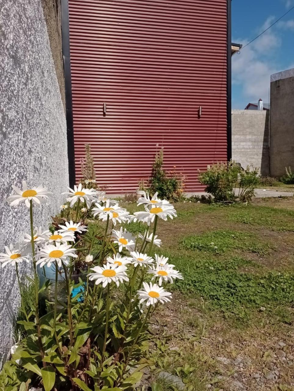 Apartamento CanalesPolo