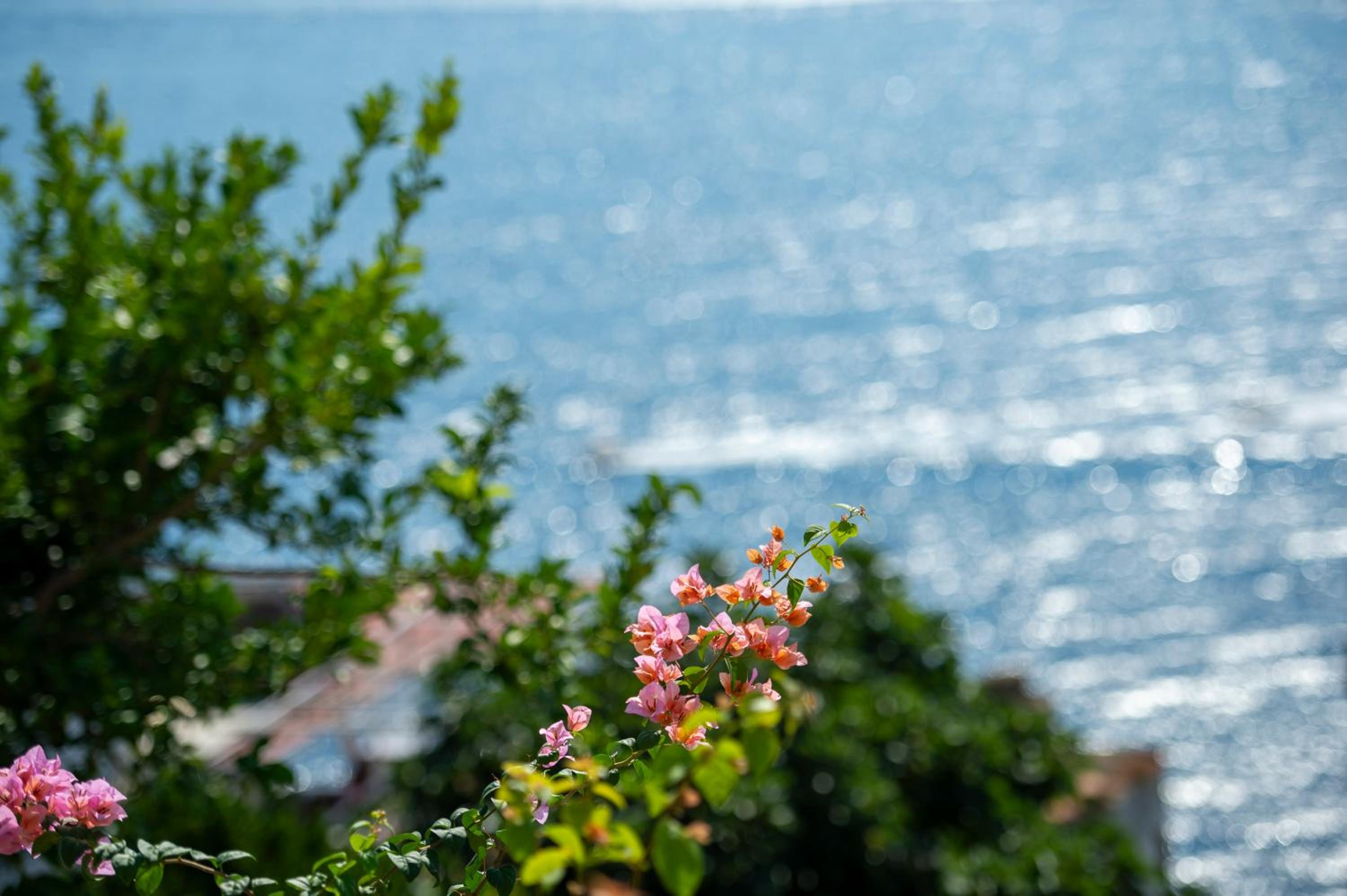 Casa Fiorellina photo 2