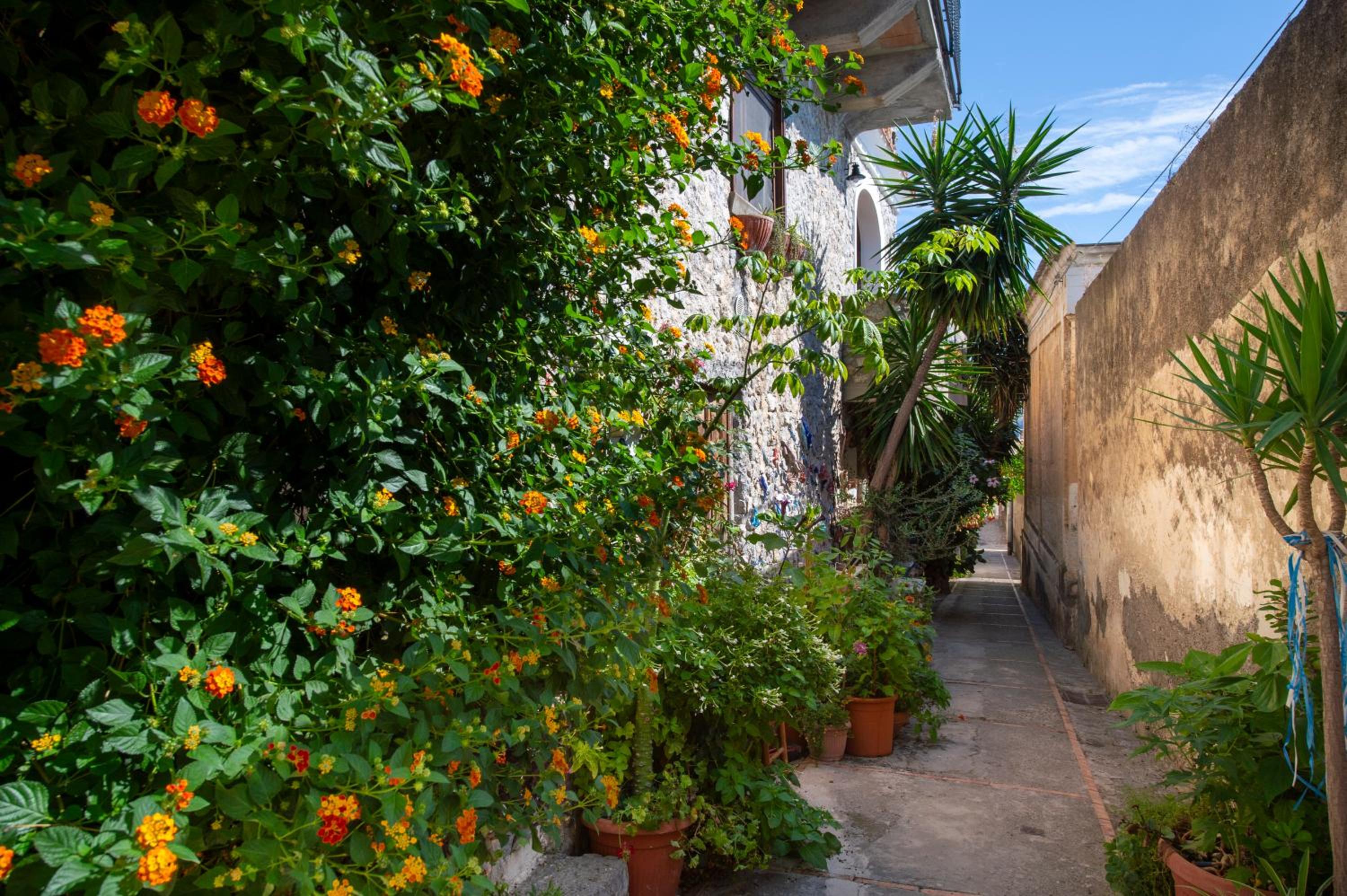 Casa Fiorellina