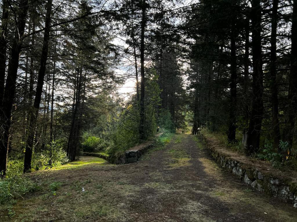 Villa del Lago - Property Image 7