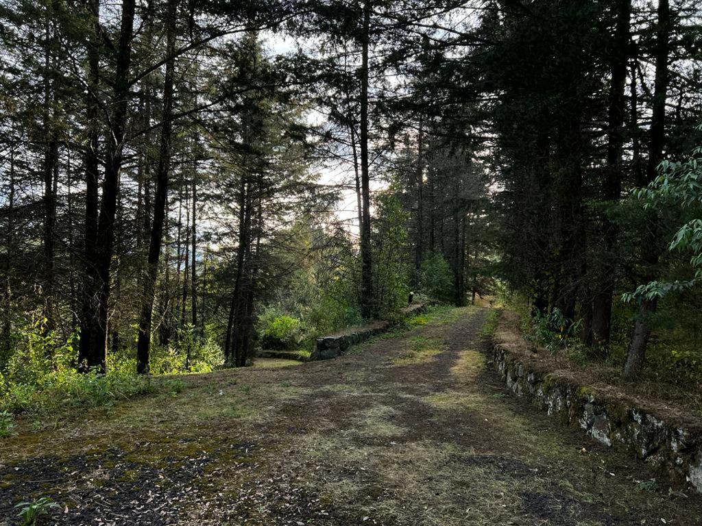 Villa del Lago - Property Image 8