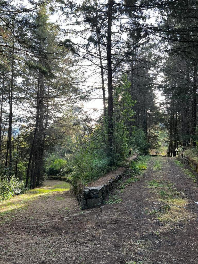 Villa del Lago - Property Image 9