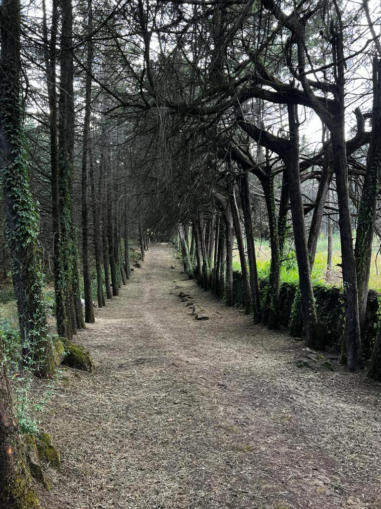 Villa del Lago - Property Image 10