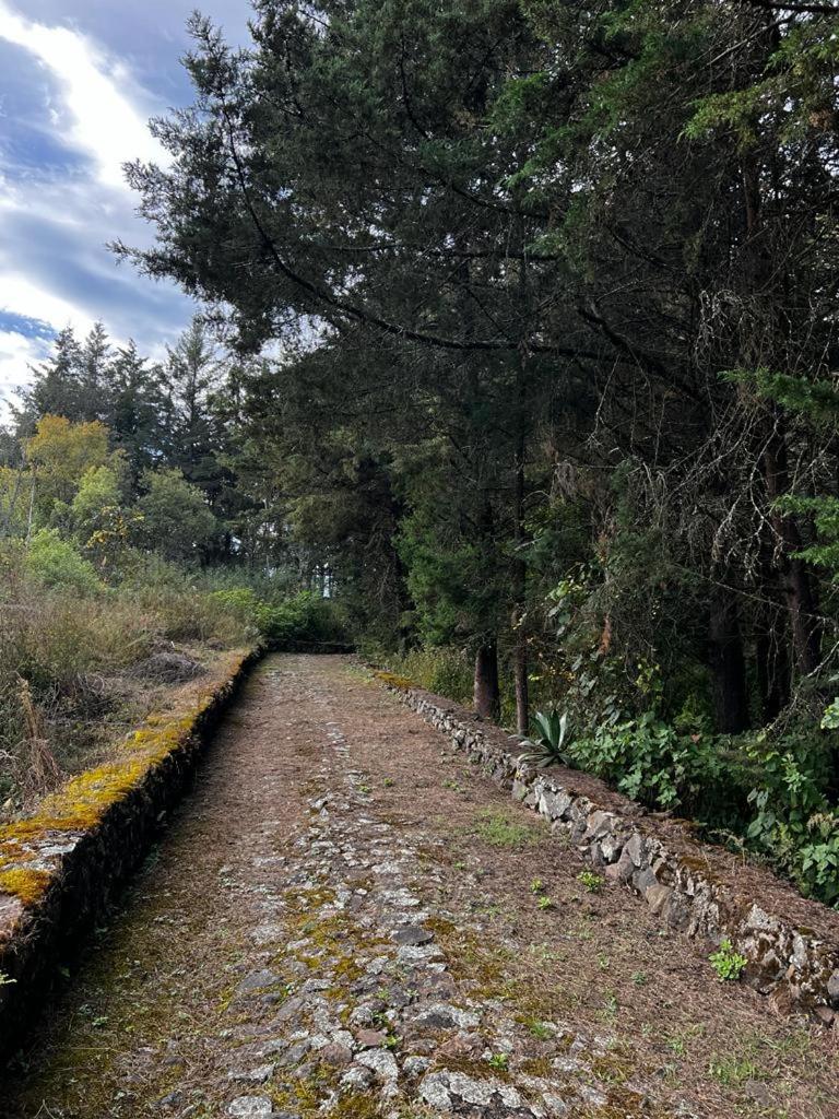 Villa del Lago - Property Image 11