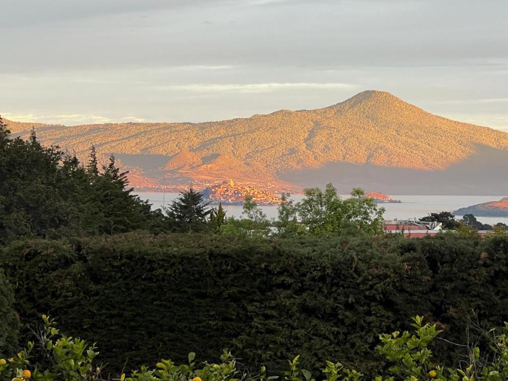 Villa del Lago - Property Image 1