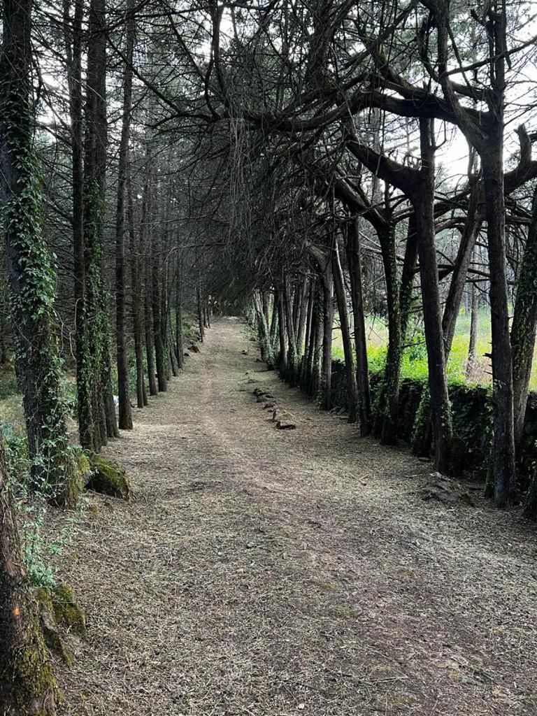 Villa del Lago - Property Image 13