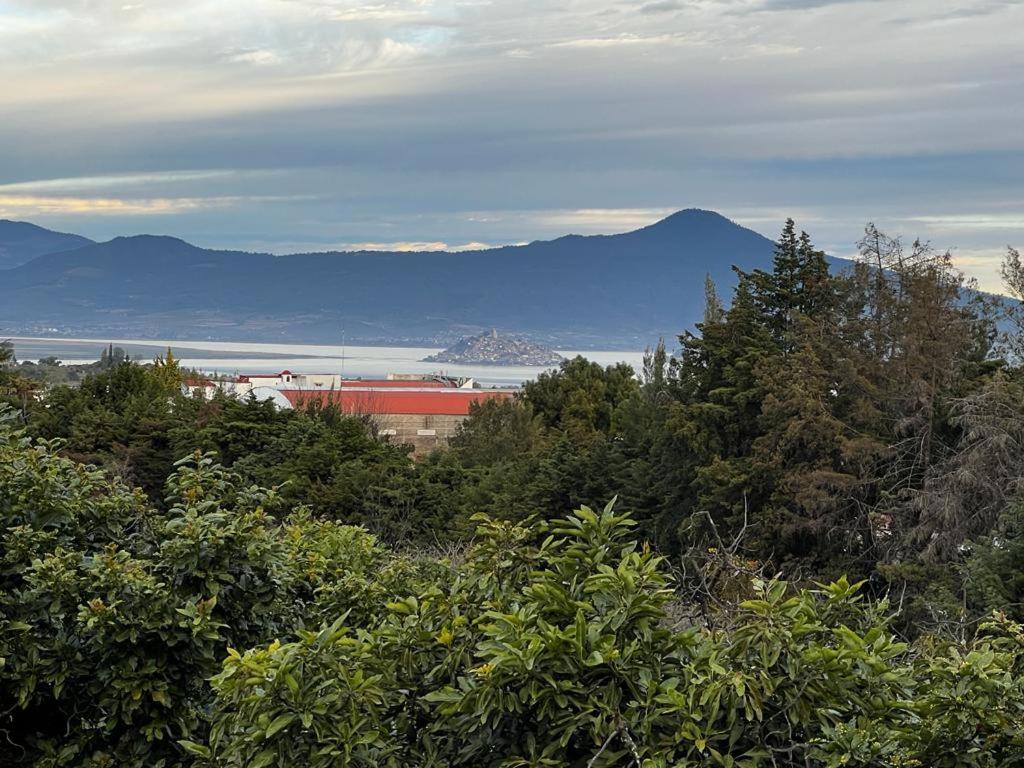 Villa del Lago - Property Image 40