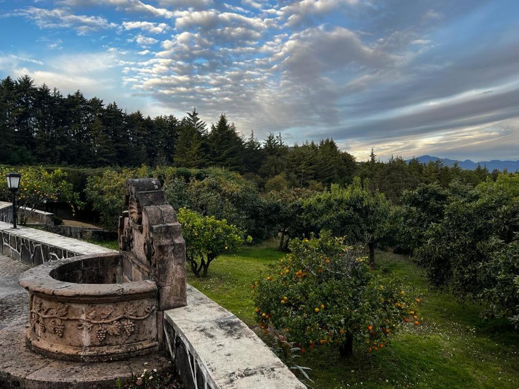 Villa del Lago - Property Image 17